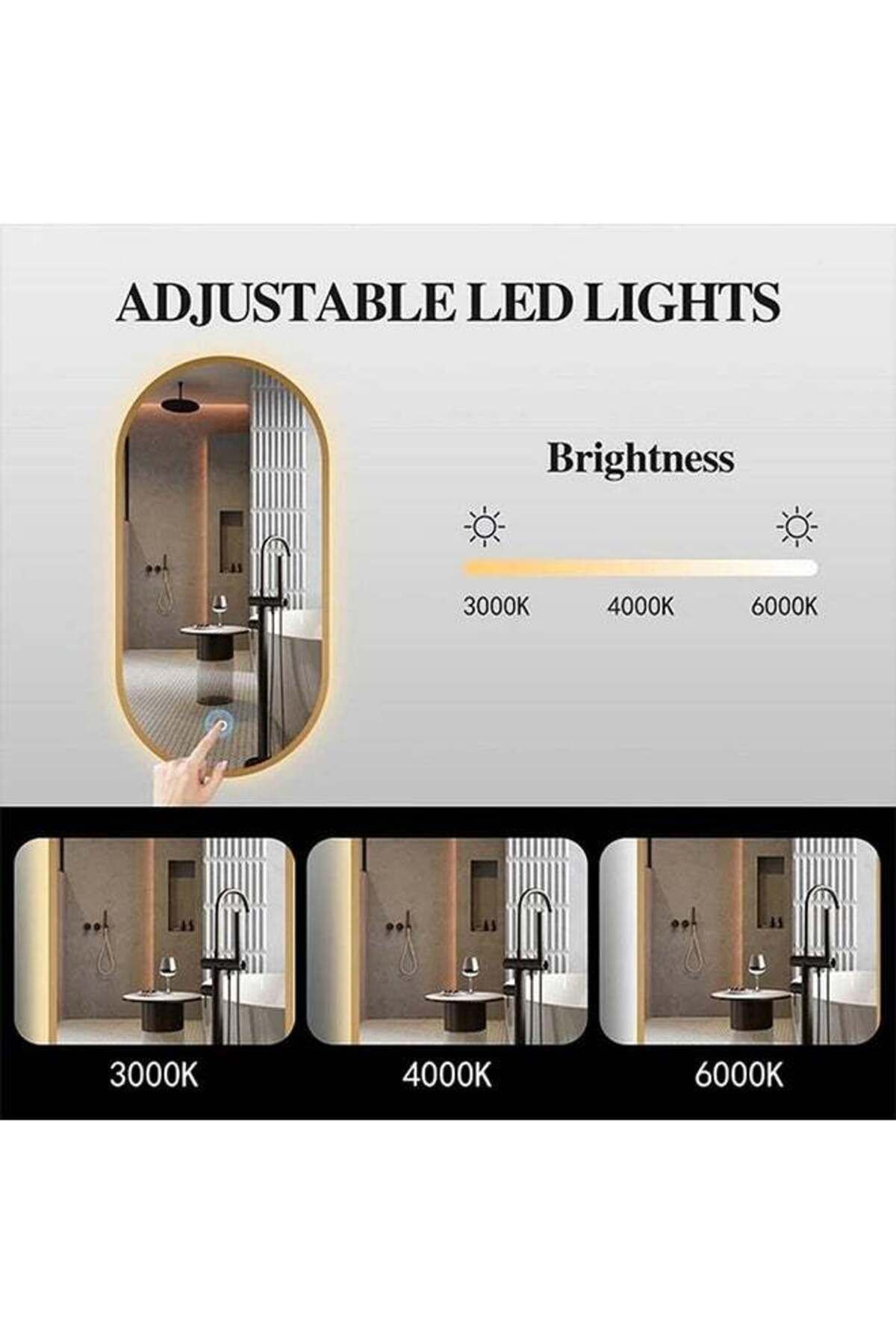 Taimi-Wall Mirror 80x50cm-Elegant Design Mirror with 3-Back Light Levels Golden Frame-For Makeup,Enterway 8