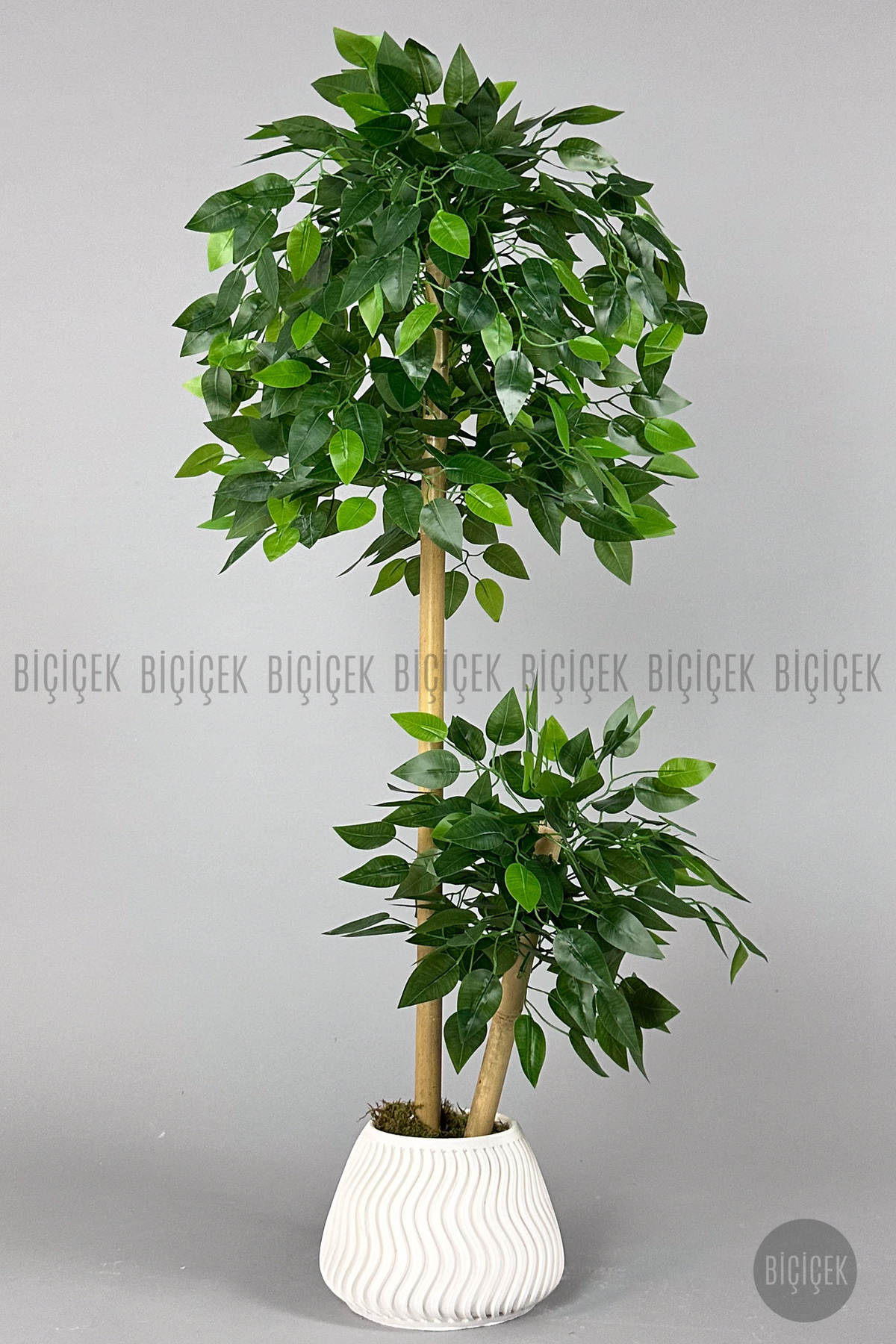 Artificial Benjamin Tree Bamboo Body 140cm Dense Leaf in Large Pot