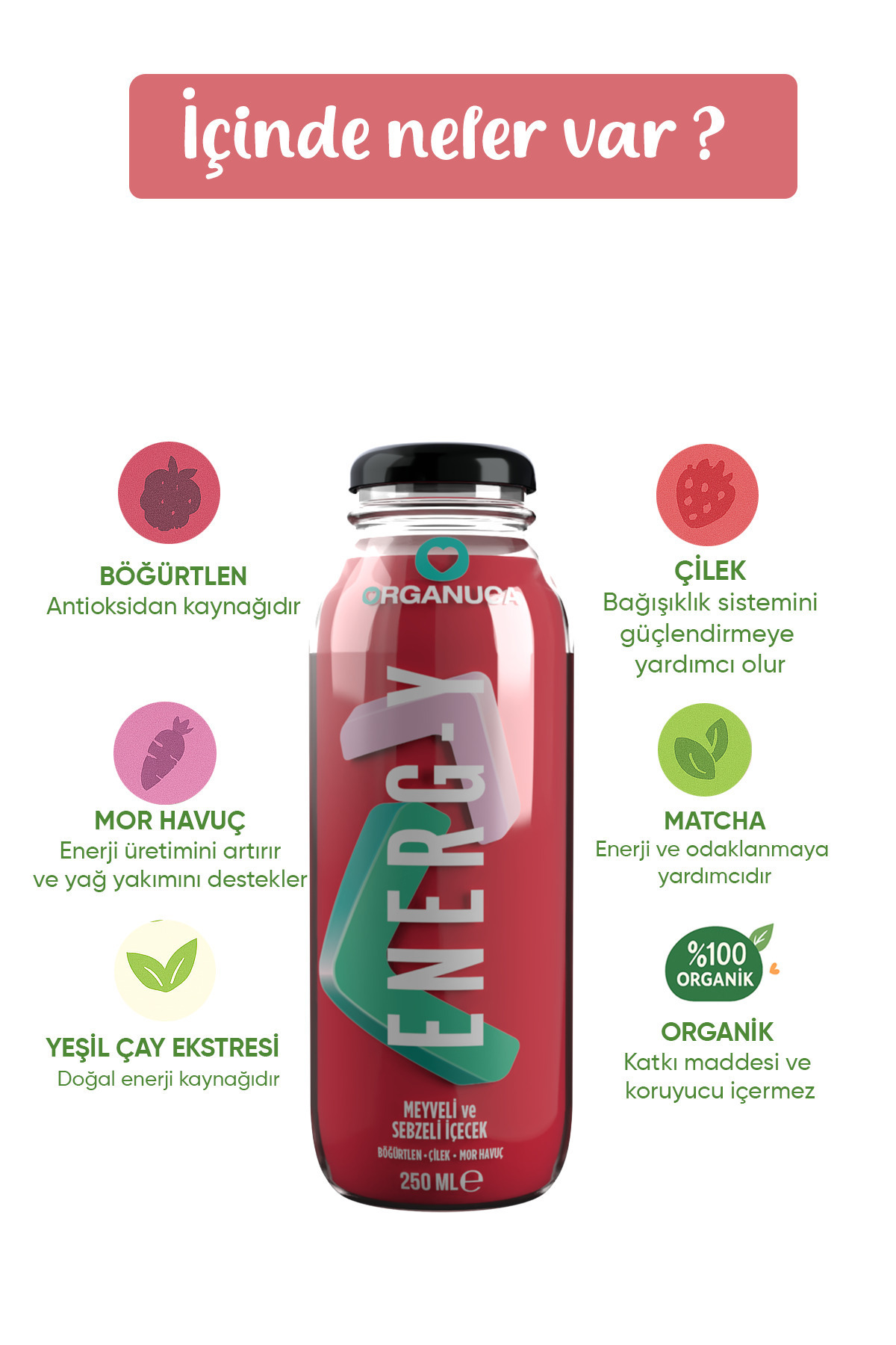 Organuca Energ-y Organik Smoothie
