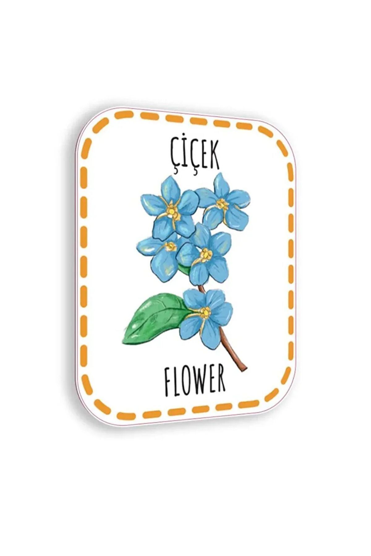 Çocuk Akademi Şimdi Cırt Cırt Vakti 9-16 Ay Baby Girl Boy - Bebeğimin Ilk Sözcükleri ve 0-12 Ay Zeka Kartları fotoğrafı 5 (önizleme)