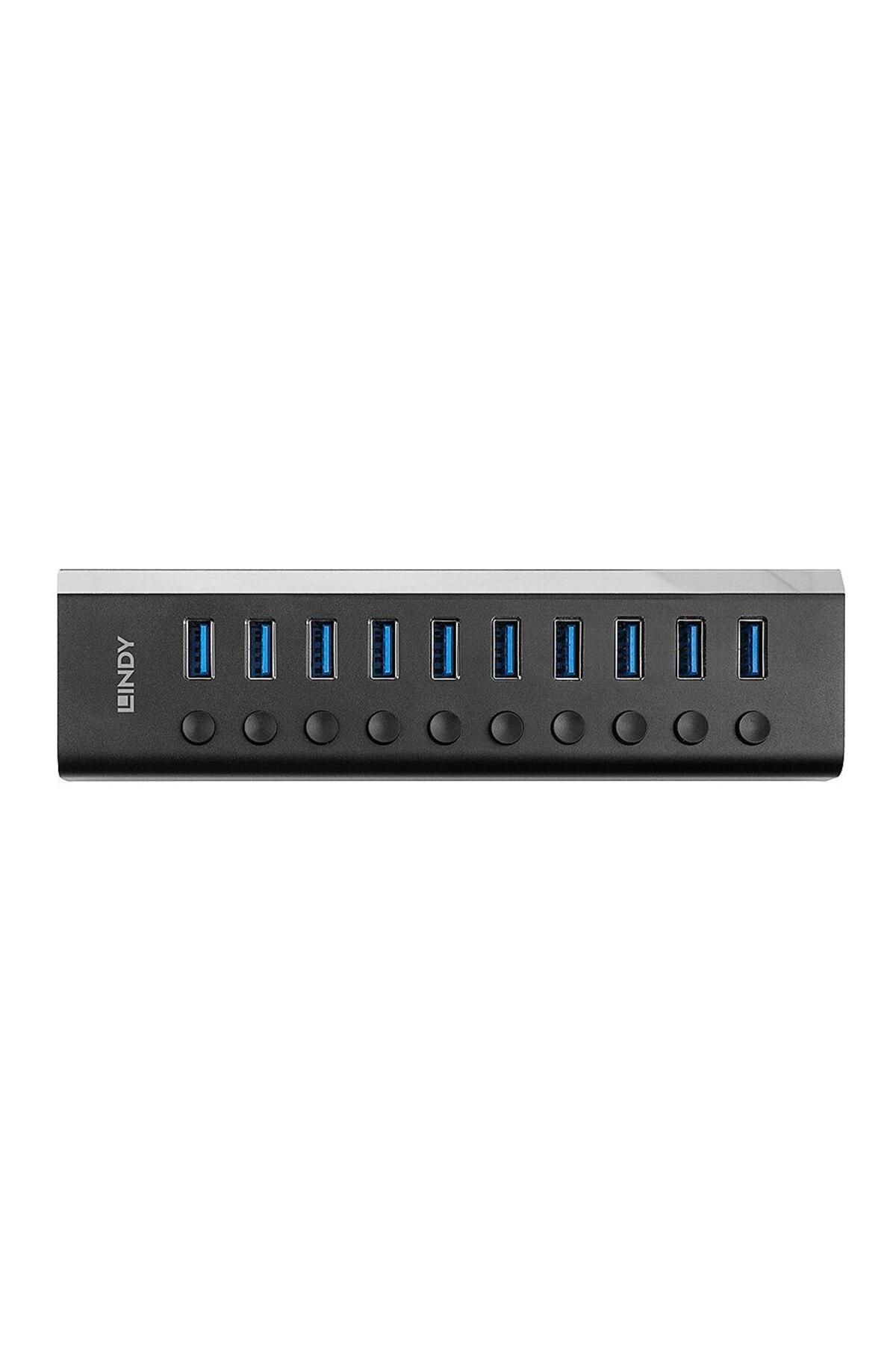 LİNDY-10-port USB hub with On/Off button, 3
