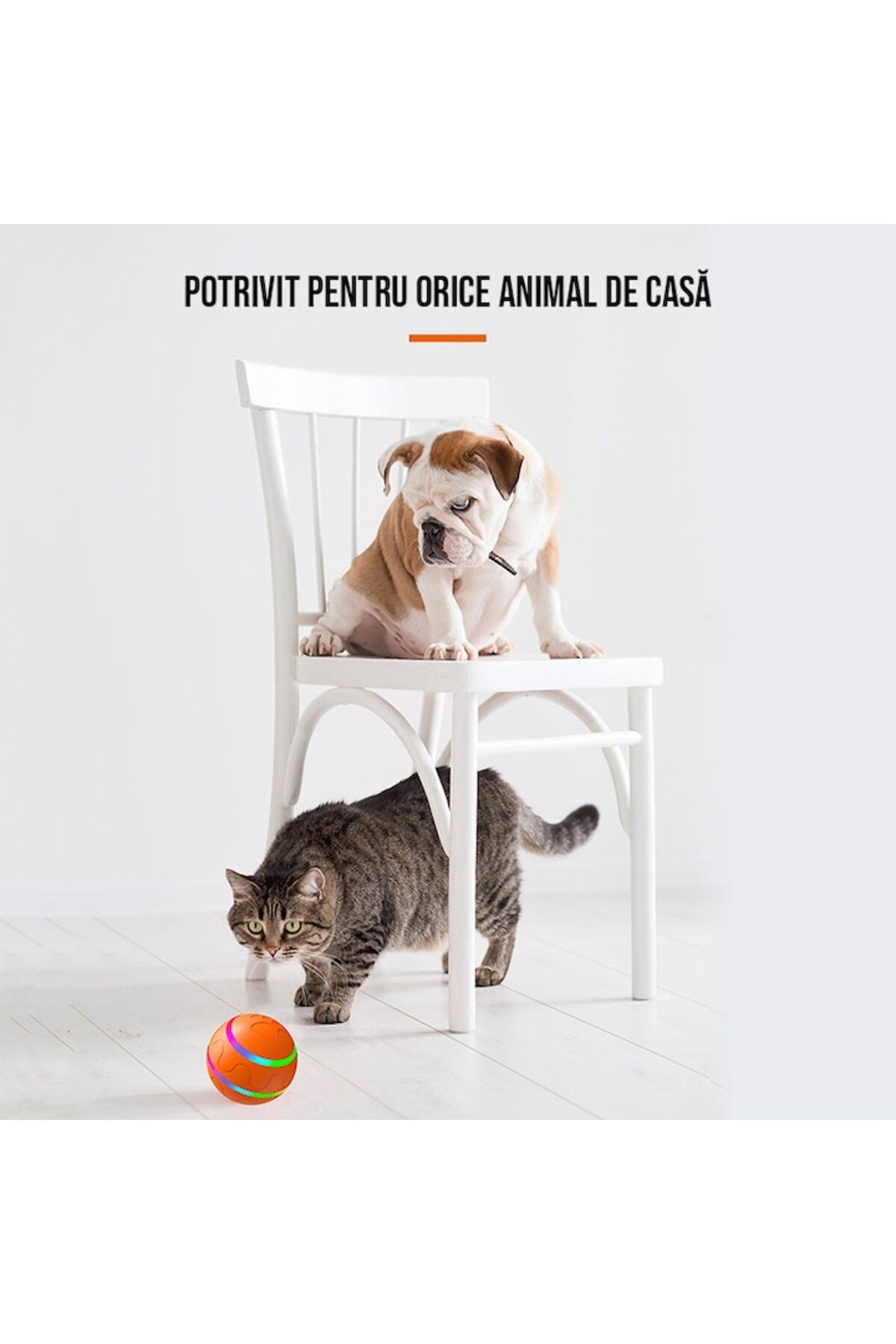 SMART GADGETS C&A-SMART Pets Toy for Dogs and Cats, 360° Auto Rotation with Remote Control, Water Resistant, 8 cm Dia 3