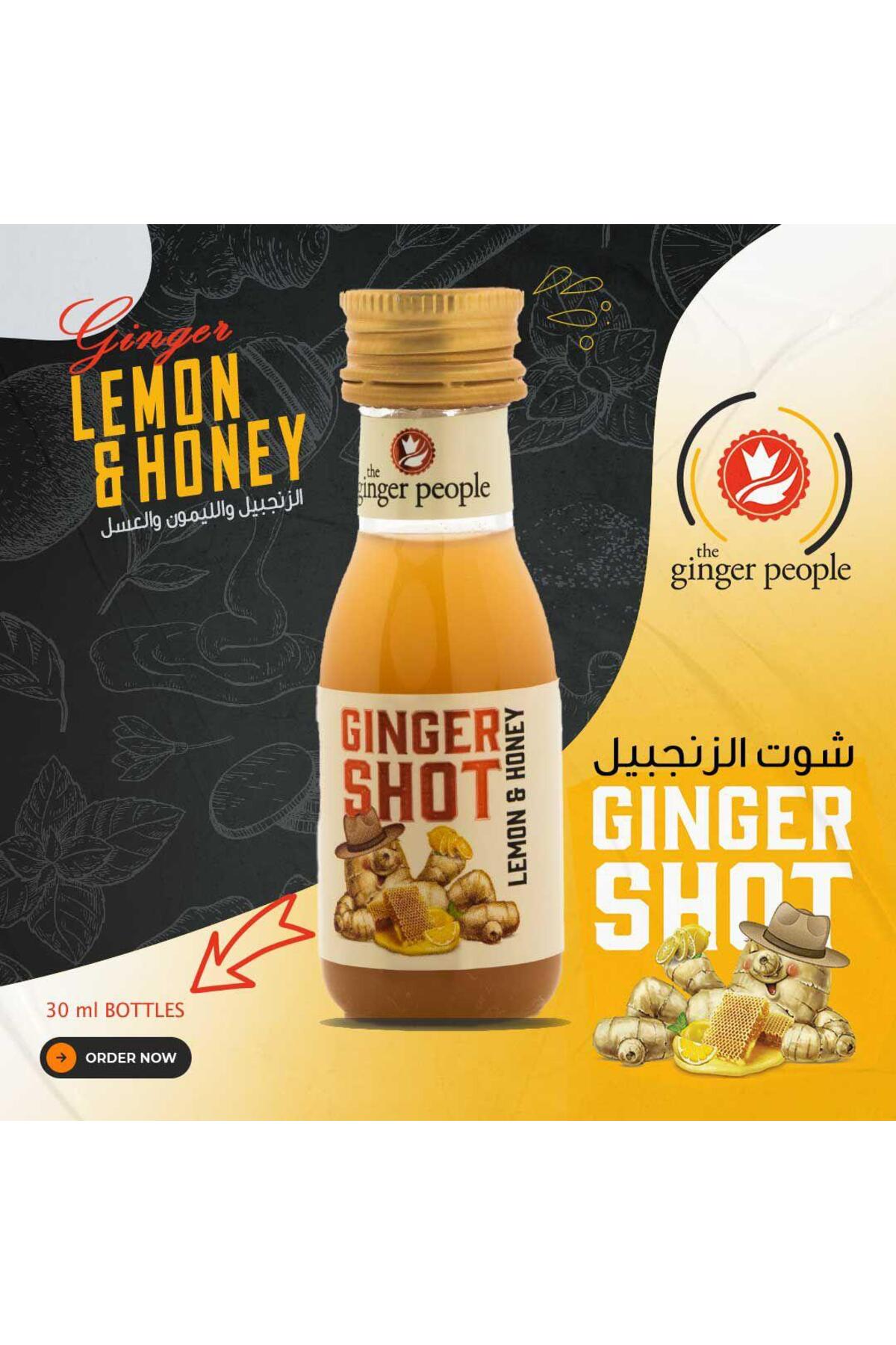 🛴 Ginger Elektrikli Scooter ile Hızlı Ulaşım Sağlayın!