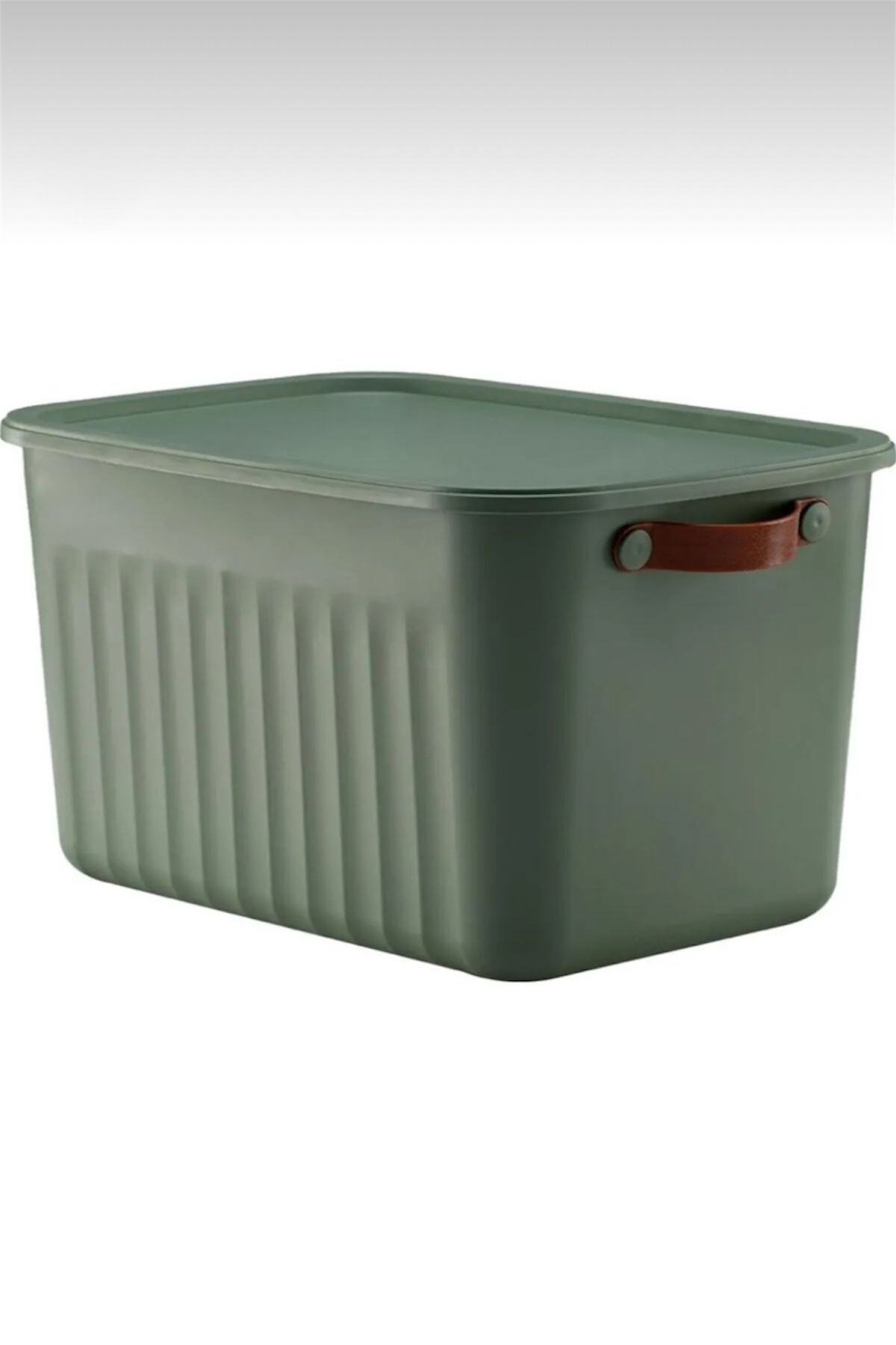 Bayev-Set of 4 Green 20 Lt Boxsis Mega Size Multi-Purpose Box with Lid Closet Organizer Organizer-Hobby Box 4