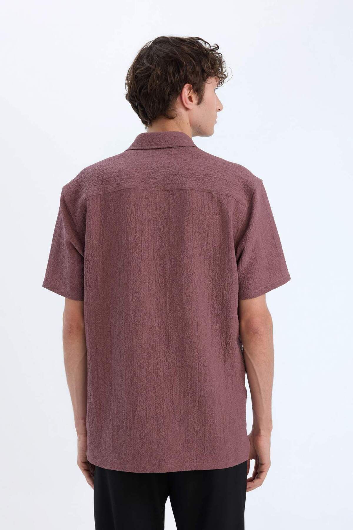 DeFacto-Regular Fit Polo Neck Crinkle Summer Short Sleeve Shirt E1223Ax25Sm 6