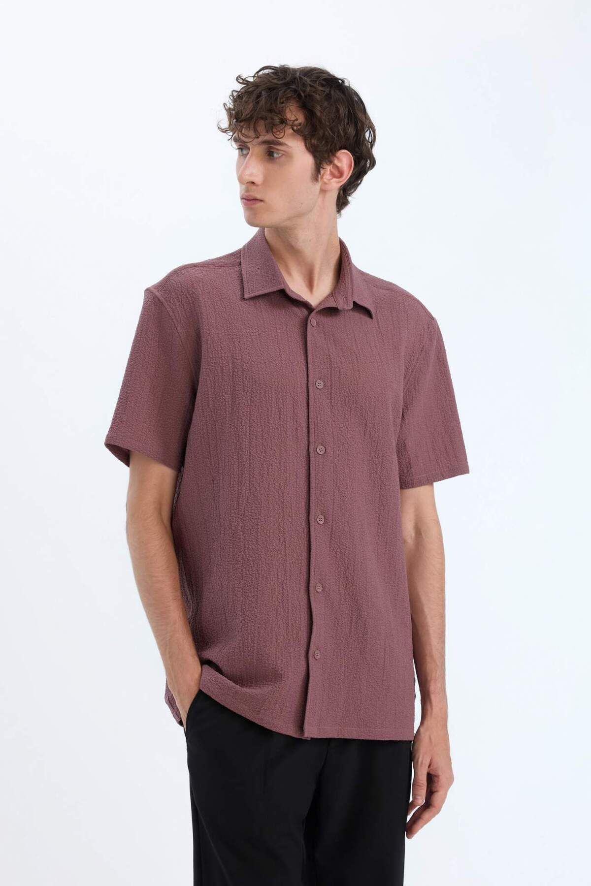 DeFacto-Regular Fit Polo Neck Crinkle Summer Short Sleeve Shirt E1223Ax25Sm 4