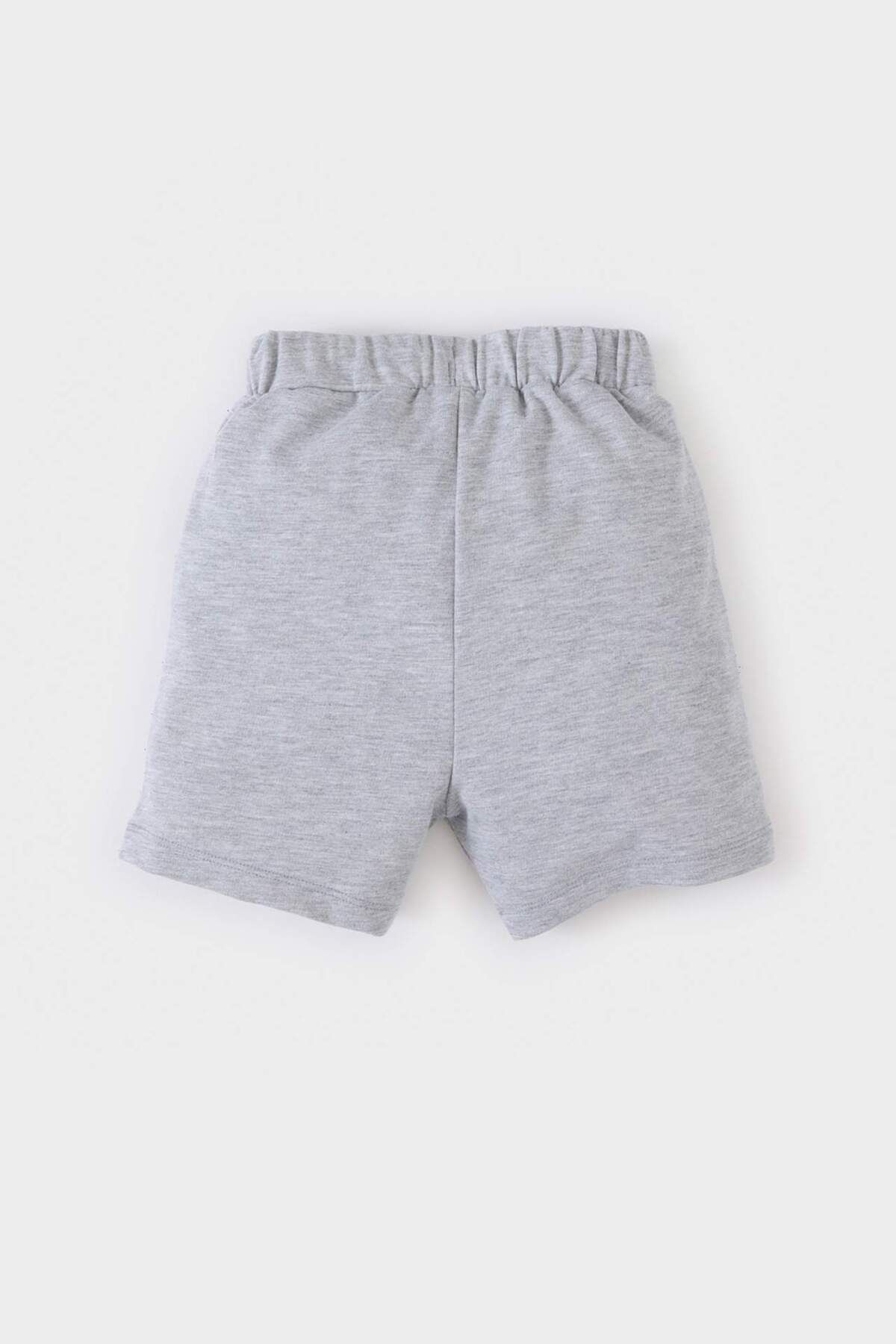 DeFacto-Baby Boy Printed Elastic Waist Shorts E1018A525Sm 3