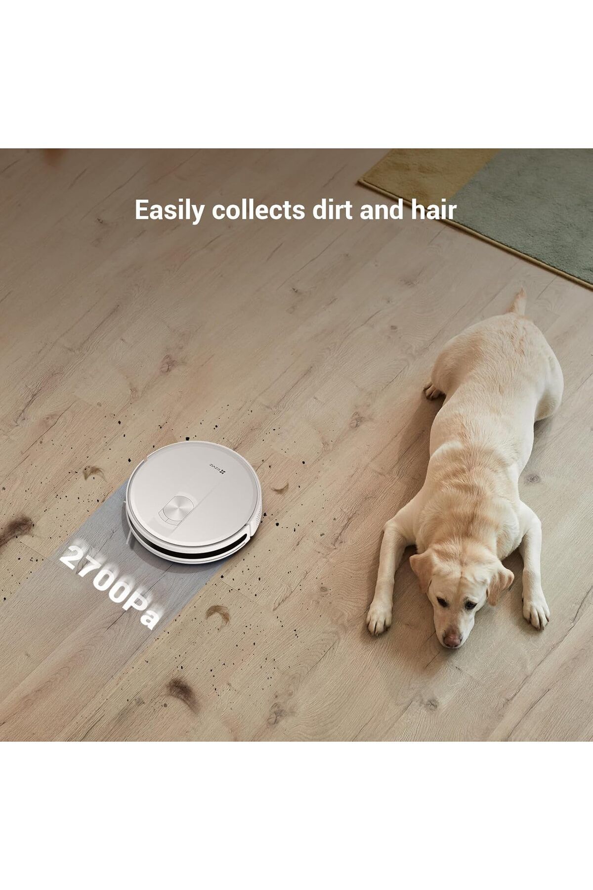 EZVIZ-RC3 Robot Vacuum Cleaner with 2700Pa Suction Power, 800ml Dust Bag, Ideal for Hard Floors & Carpets 3