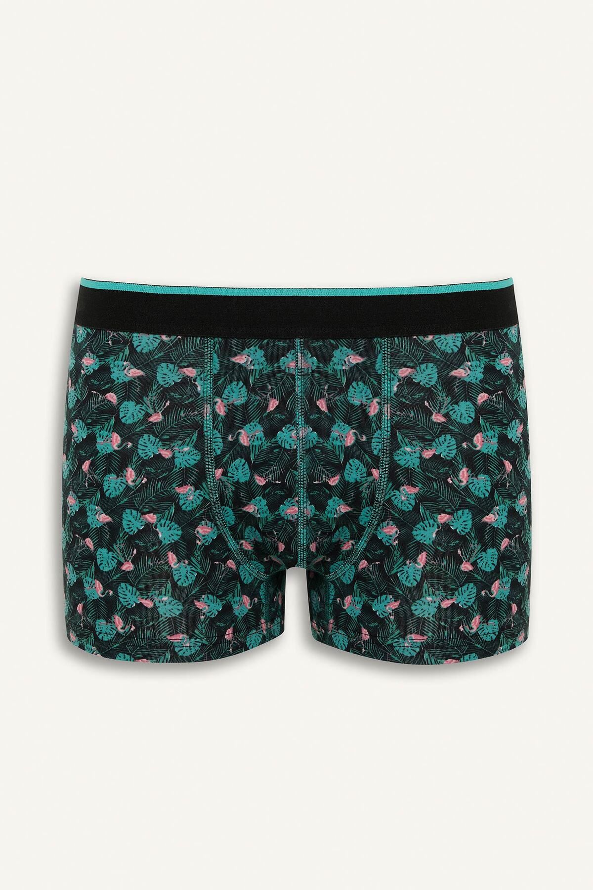 DeFacto-Regular Fit 3-Piece Boxer B7970ax24sp 2