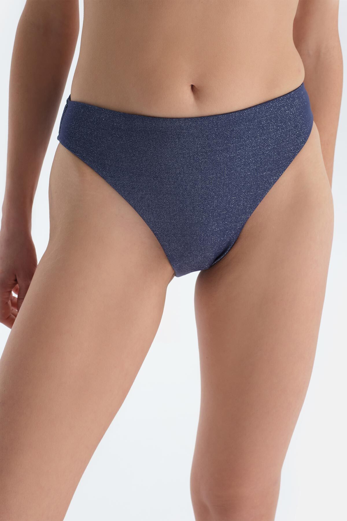 Dagi-Plum High Waist Bikini Bottom 5