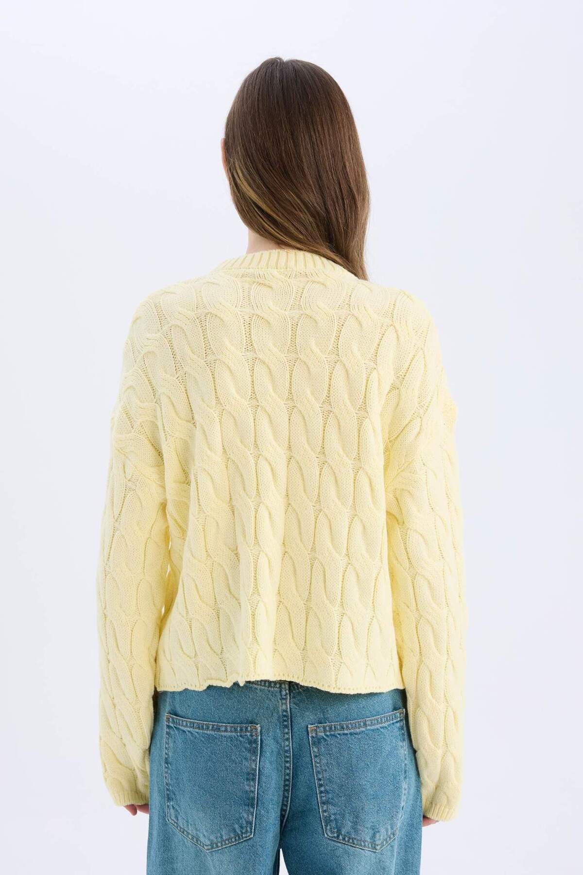 DeFacto-Coool Regular Fit Strickpullover mit Rundhalsausschnitt und geflochtenem Haar E4604ax25sp 6