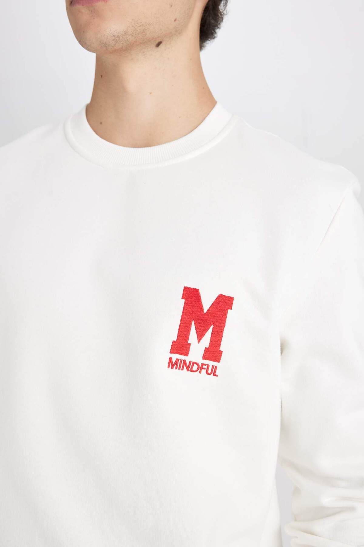 DeFacto-Nová tlustá mikina Regular Fit Crew Neck s potiskem D3670Ax24Au 5