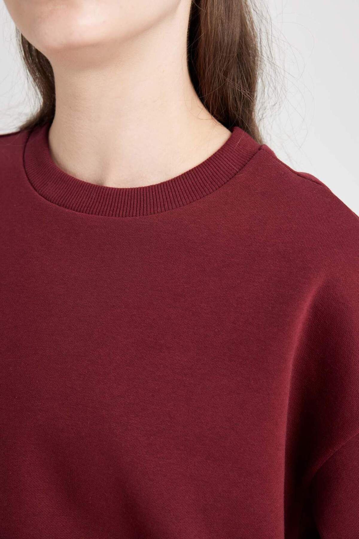 DeFacto-Regular Fit Regular Fit Basic Thick Fleece Σετ φόρμας D8022axns 8