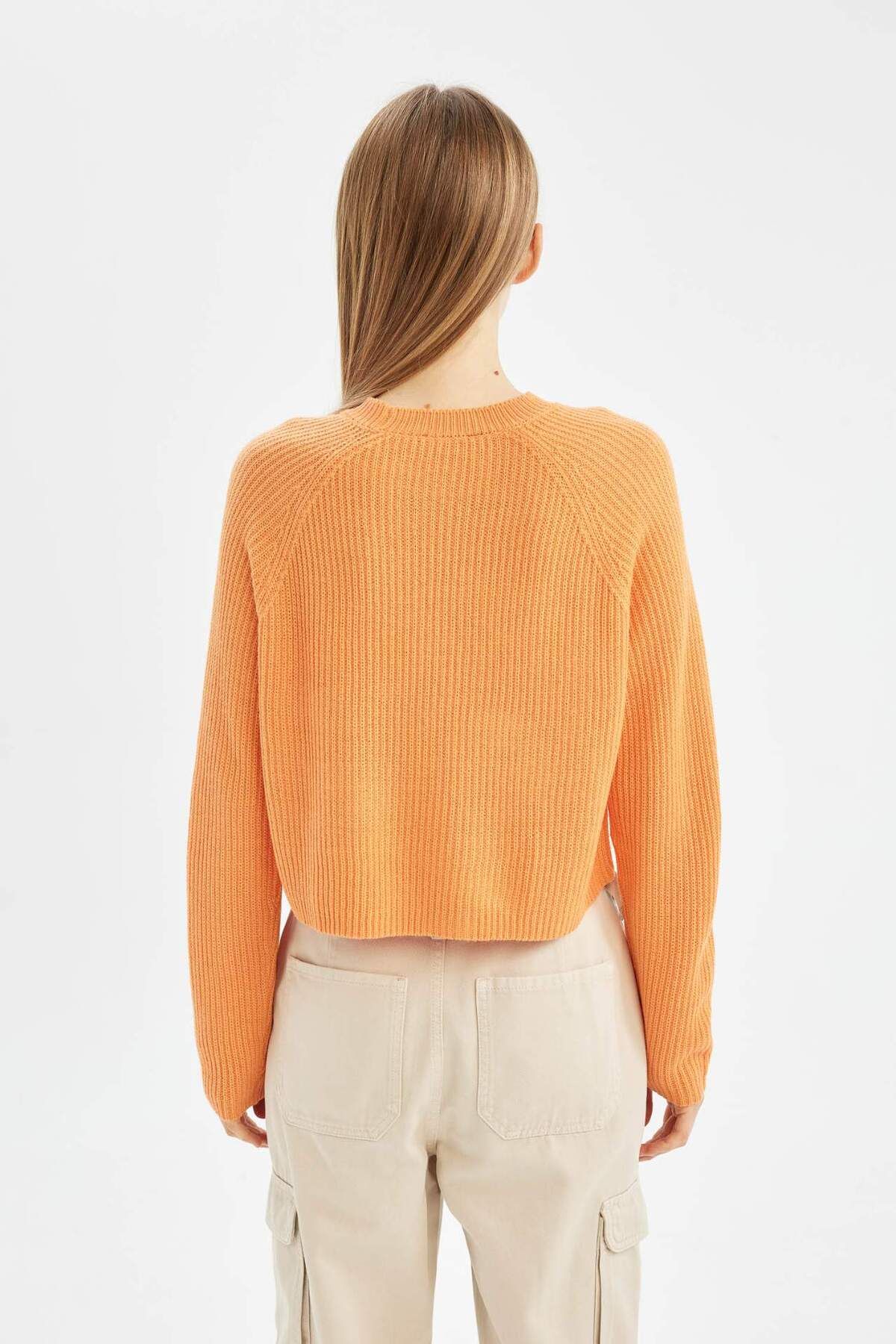 DeFacto-Coool Regular Fit Rundhals Basic Unifarben Strickpullover L2567AZ24WN 5