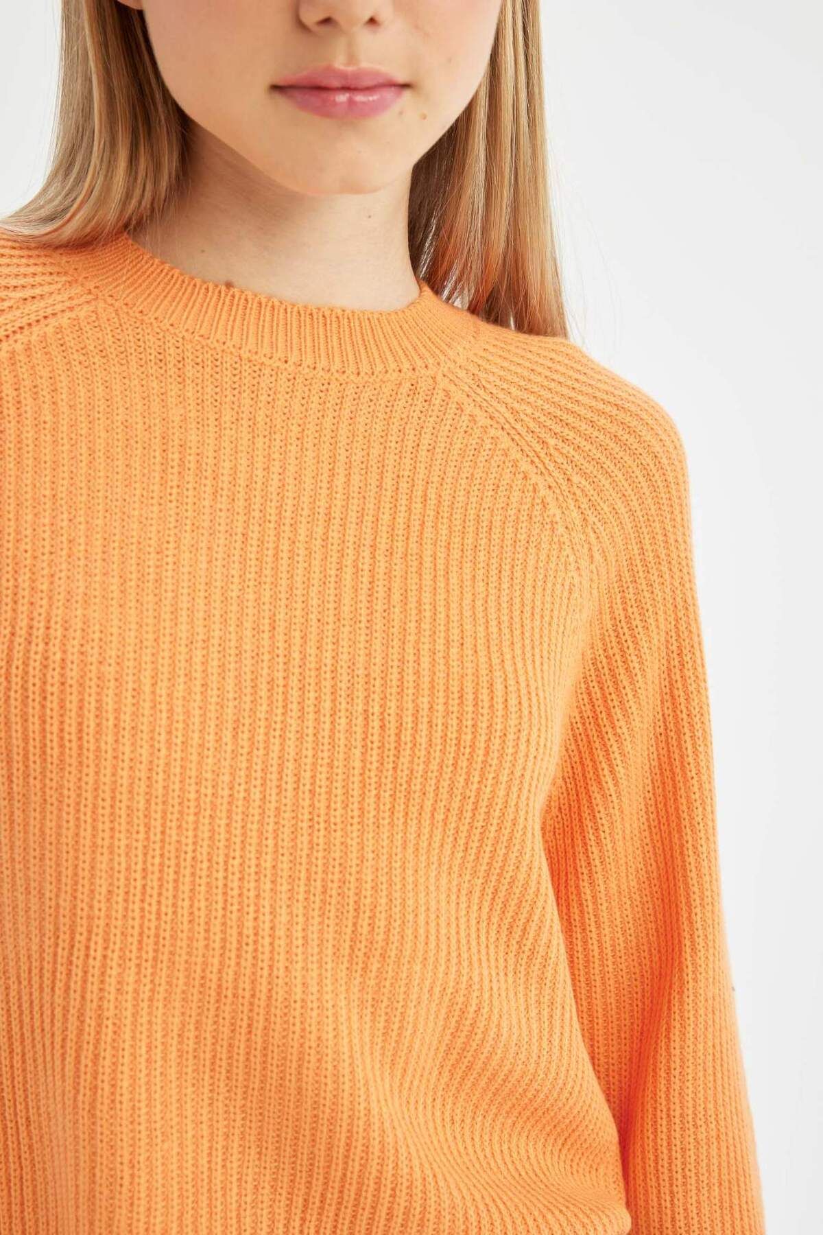 DeFacto-Coool Regular Fit Rundhals Basic Unifarben Strickpullover L2567AZ24WN 4