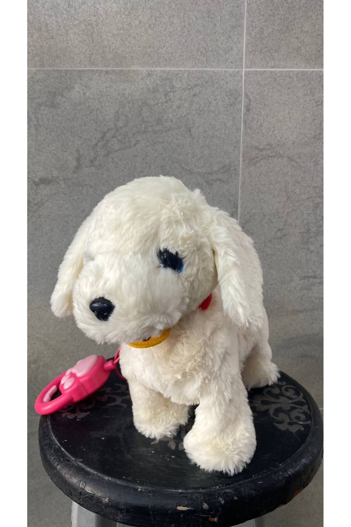 Magicway Müzikli Yürüyen Havlayan Yalayan Kuyruk Ve Başını Sallayan Ses Kaydı Yapan Pilli Peluş Köpek fotoğrafı 5 (önizleme)