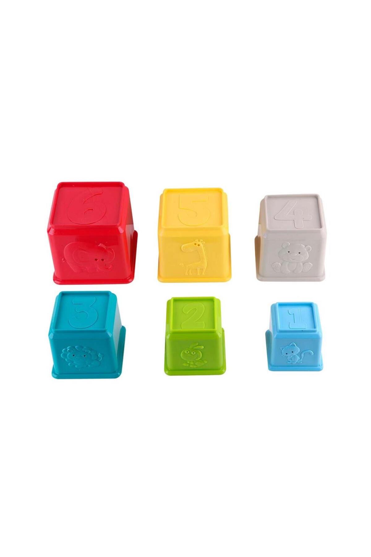 نیس‌ورلد ال‌سی باغ‌وحش ظروف آموزشی رنگارنگ