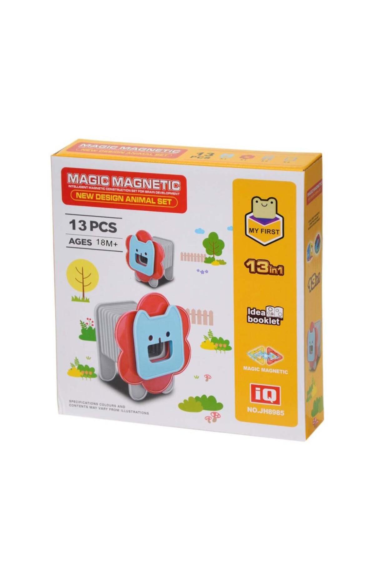 NW NessiWorld Manyetik Aslan Blok Seti 13 Parça fotoğrafı 3 (önizleme)