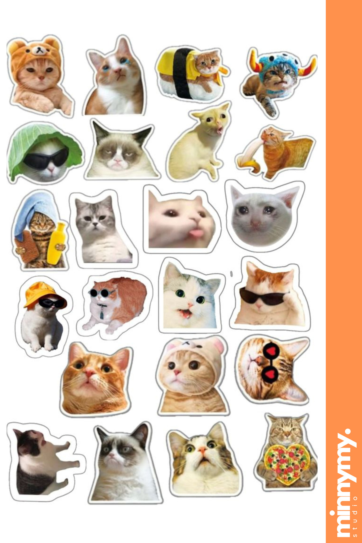 black crows anima アニマ 176 BDシール キングピン13 Minnymy Komik Kedi, Kediler, Funny Sticker, Çıkartma, Ajanda