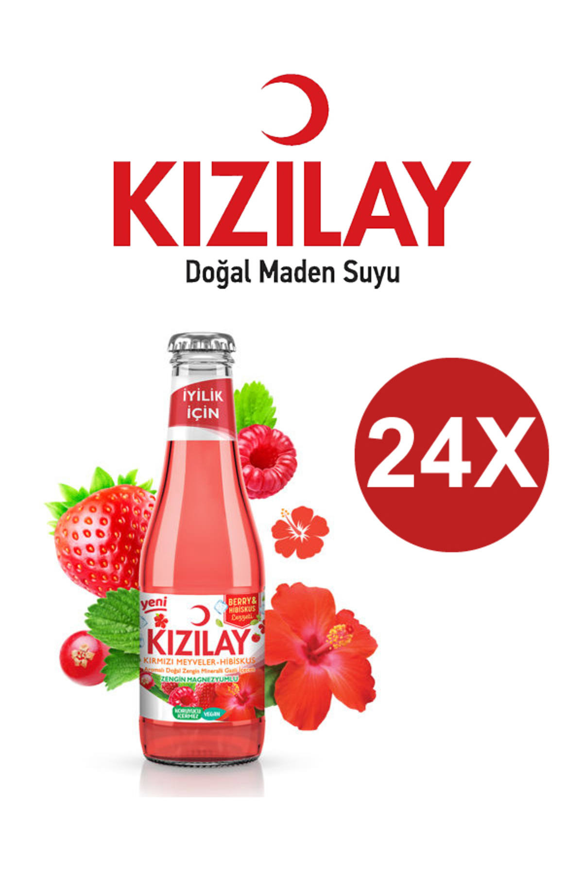 Magika Design Kızılay Kırmızı Meyveler Hibiskus Aromalı Maden Suyu 200 ML x 24 Adet