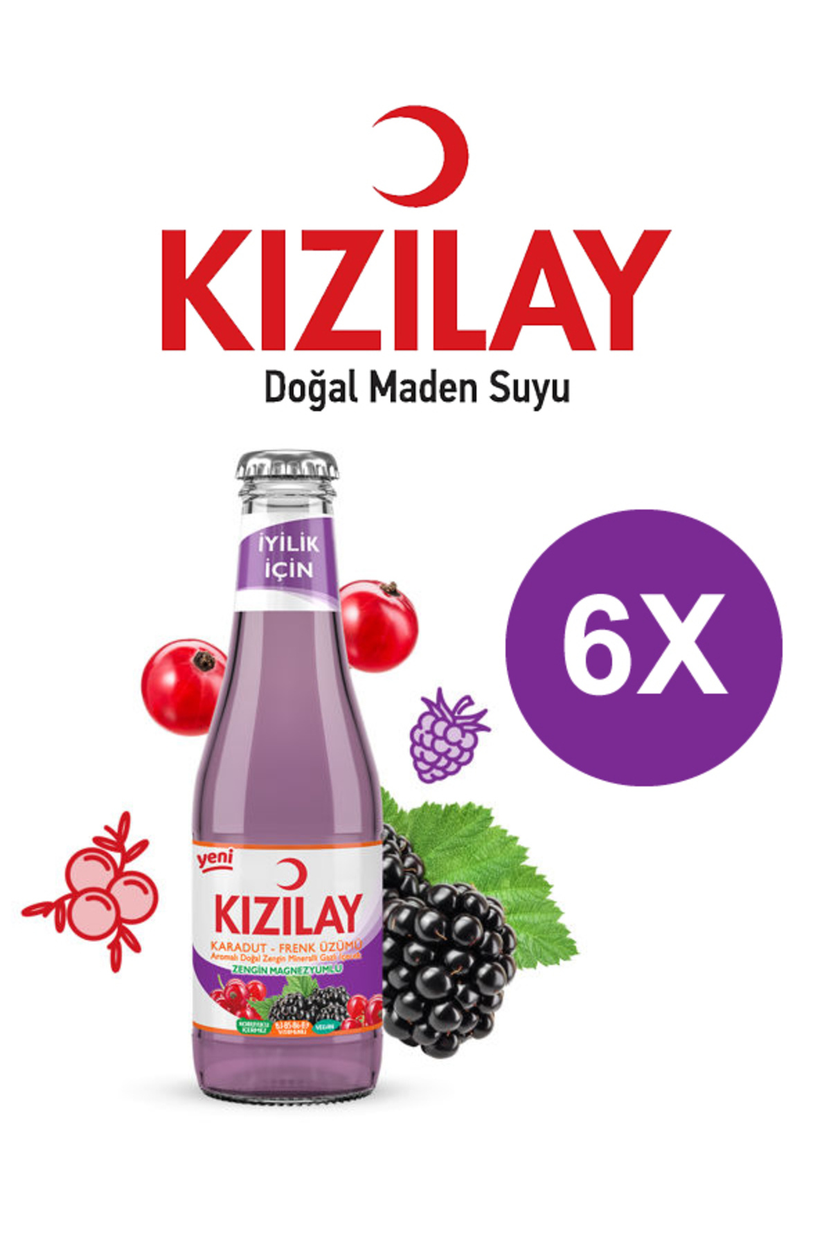 Magika Design Kızılay Karadut Frenk Üzümü Aromalı Maden Suyu 200 ML x 6 Adet
