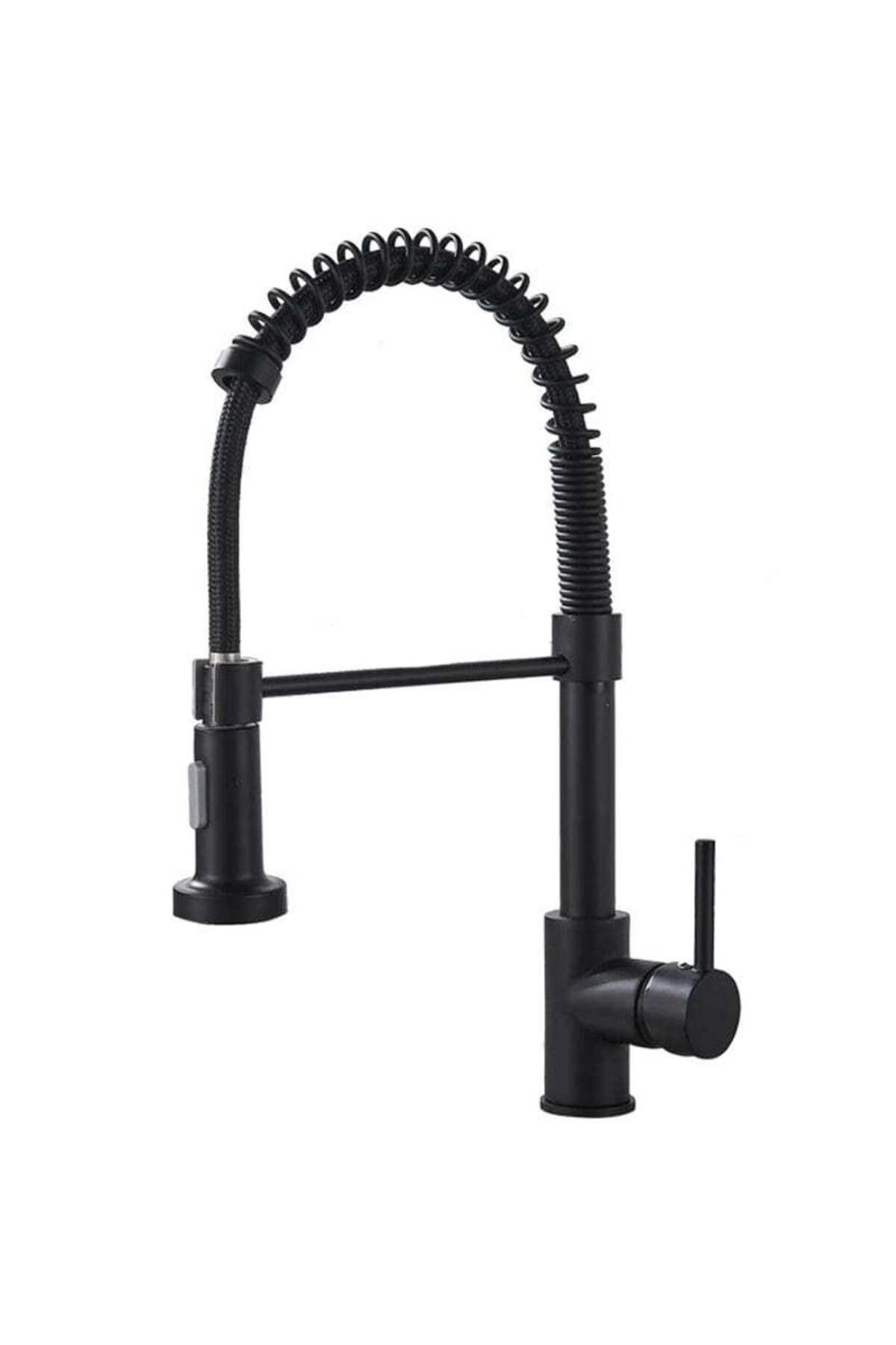 CasaVie-Professional kitchen faucet, with flexible shower, 2 flow functions, matte black, code 1335 1