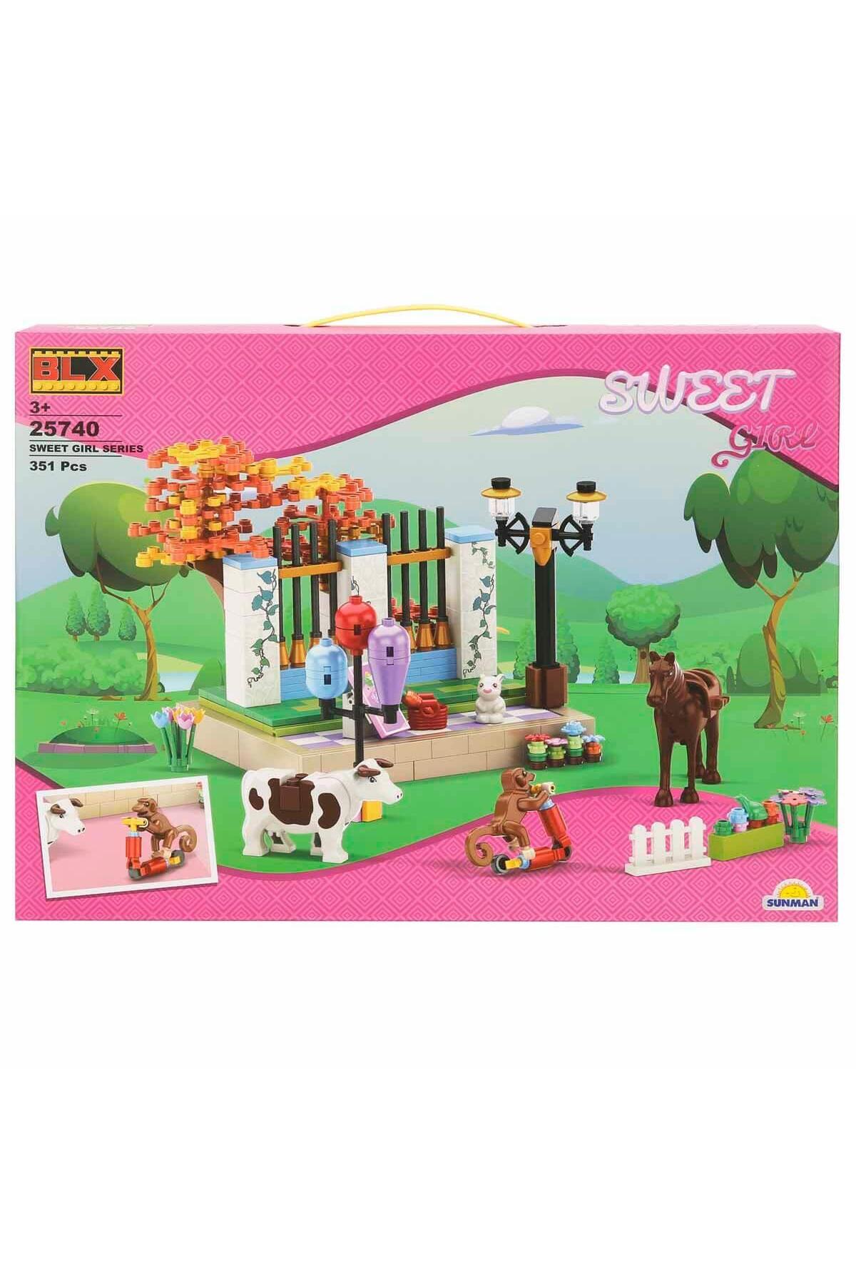 بلاکساِکس دختر شیرین مجموعه بازی خیابانی ۲۵۷۴۰