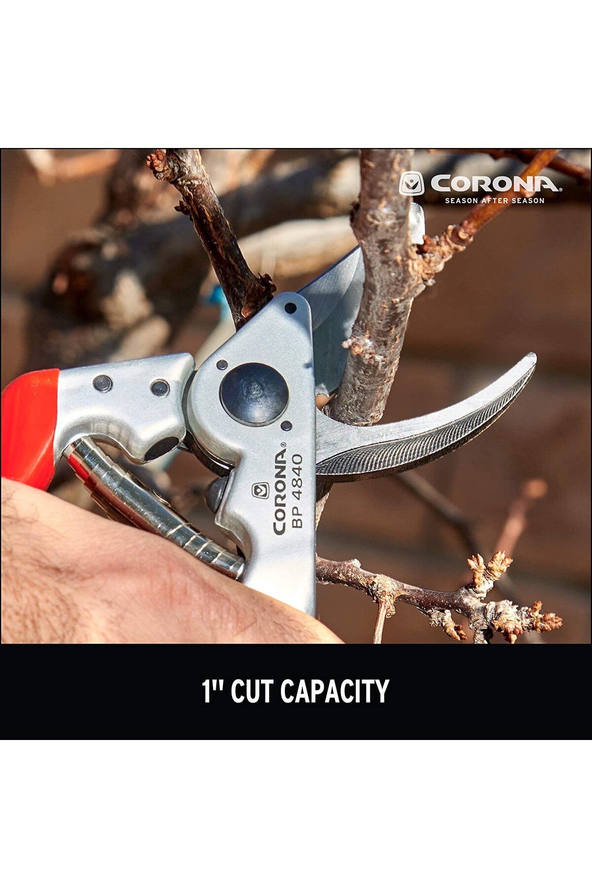 Corona-MaxForged Bypass Scissors with Rotating Handle, 2.5cm 5