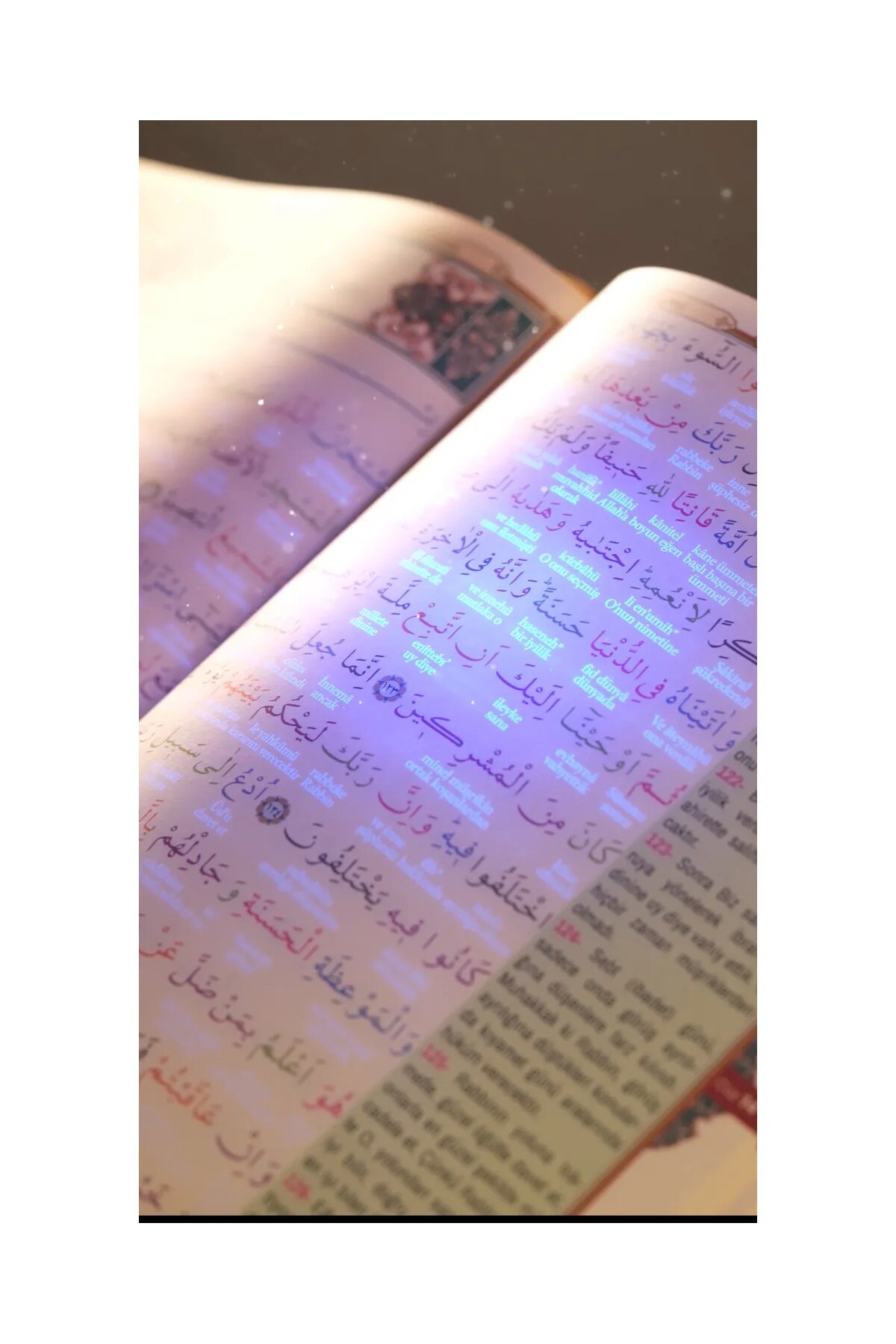 ihvan online Gizli Satır Arası Kelime Kelime Türkçe Okunuşlu Mealli Kuranı Kerim, Sesli, Cami Boy, Pembe fotoğrafı 4 (önizleme)