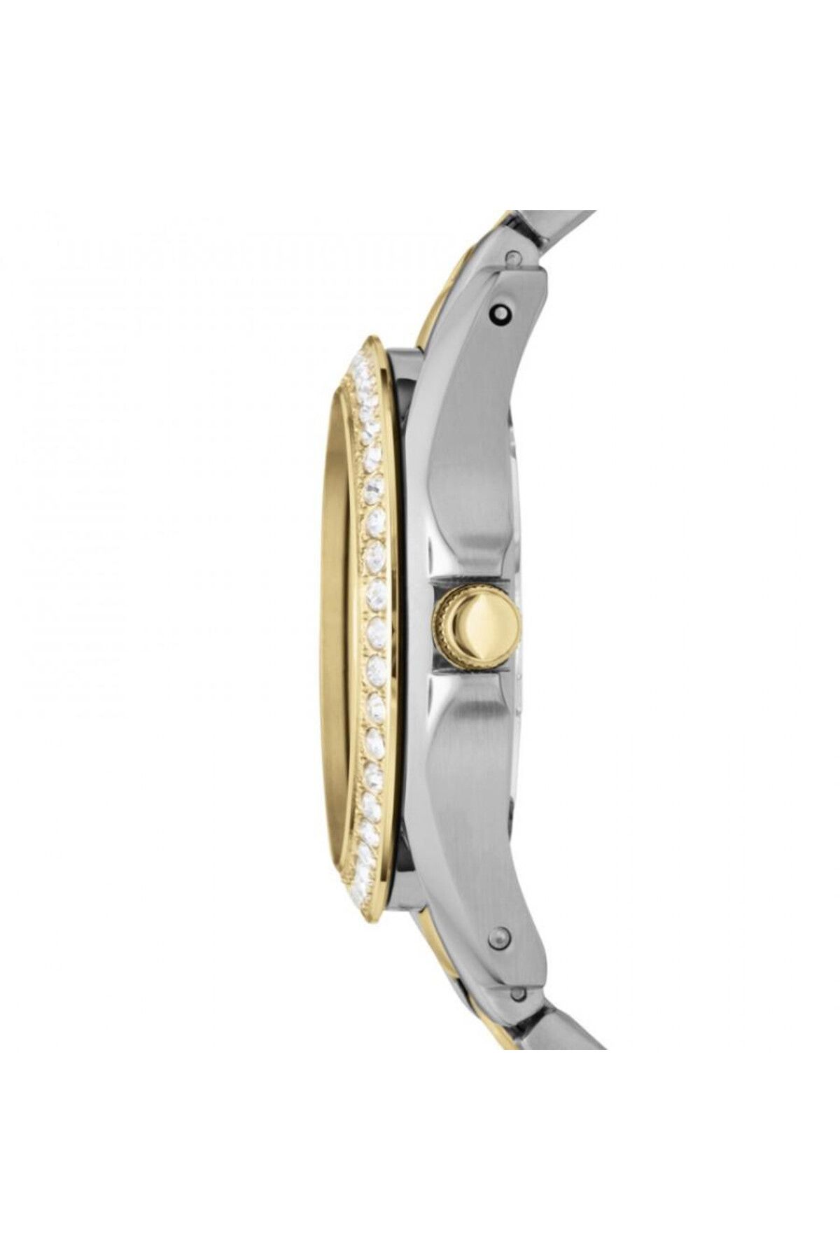 Fossil-Ceas de dama Riley Multifunction ES3204 3