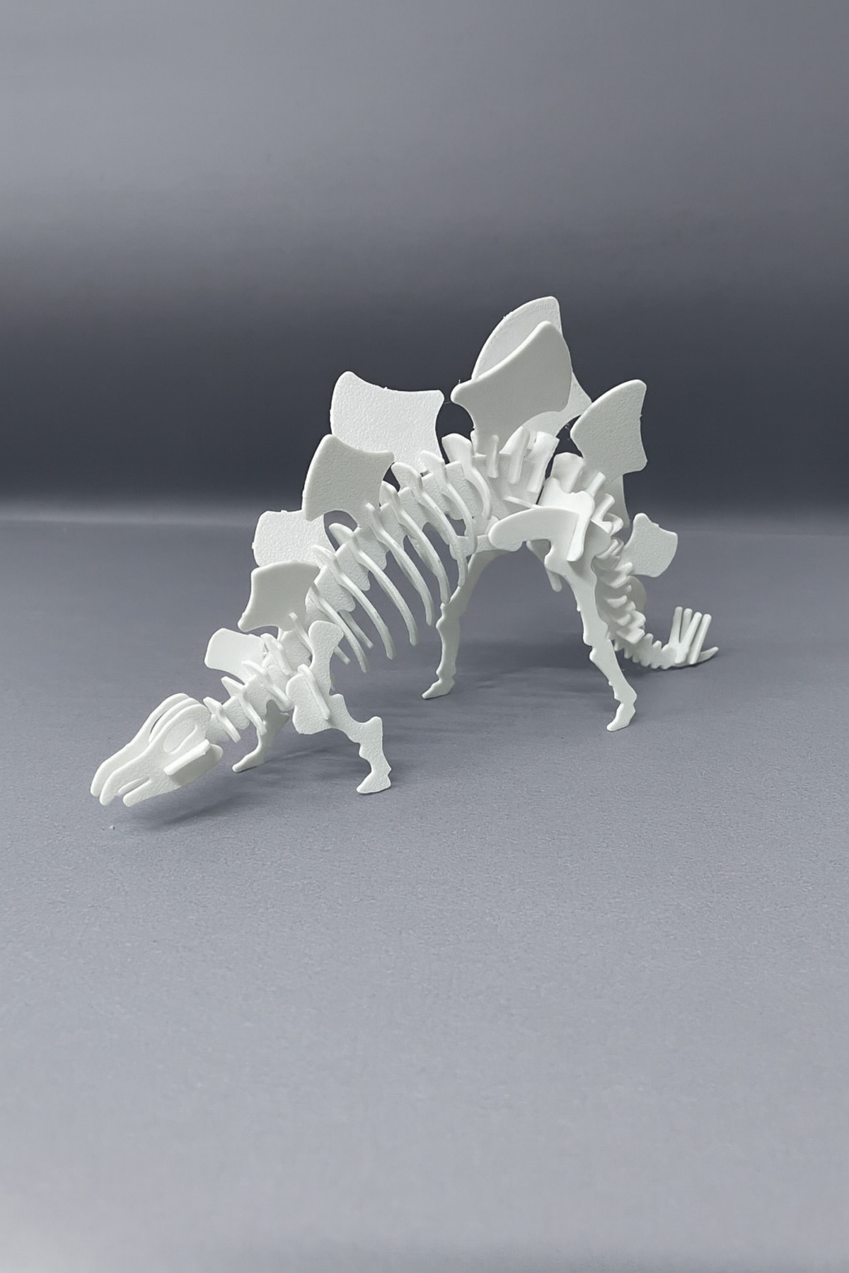 DUER-Stegosaurus 3D Dinosaur Model – 38 Piece DIY Puzzle Set (with Installation Diagram, Disassembled) 5