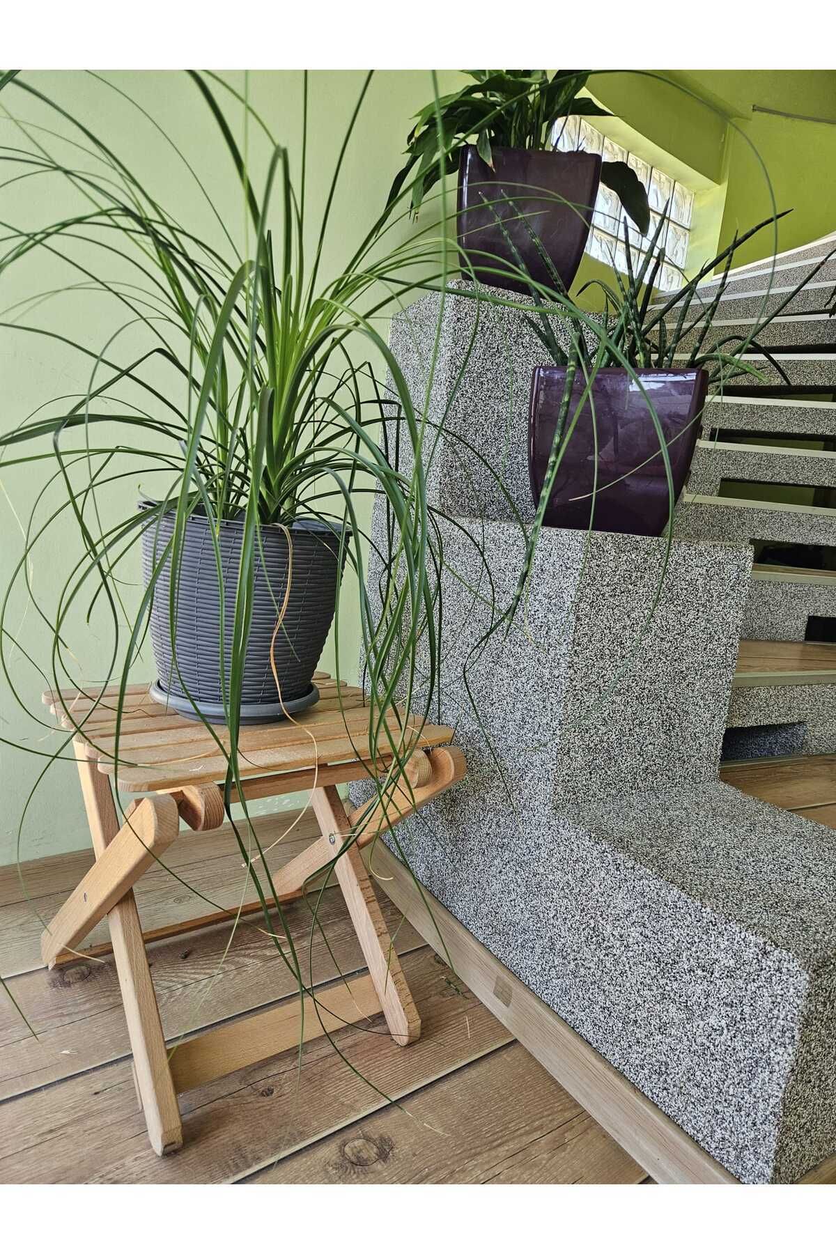 BLUMAPI-Foldable stool/table made of beech wood 3