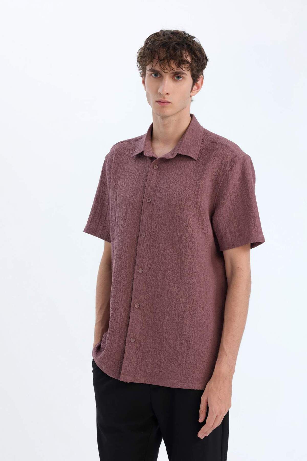DeFacto-Regular Fit Polo Neck Crinkle Summer Short Sleeve Shirt E1223Ax25Sm 3
