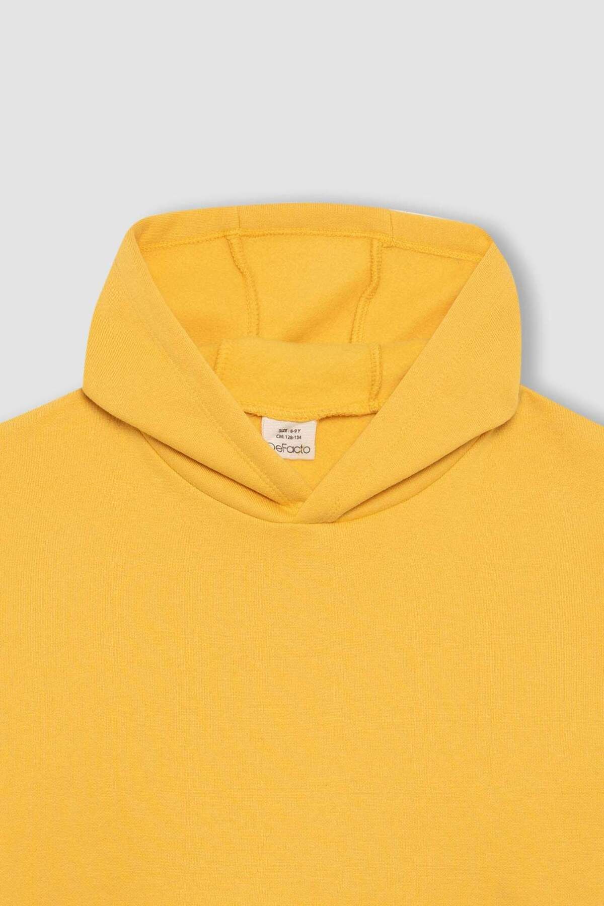 DeFacto-Kapuzenpullover mit regulärer Passform für Jungen 8