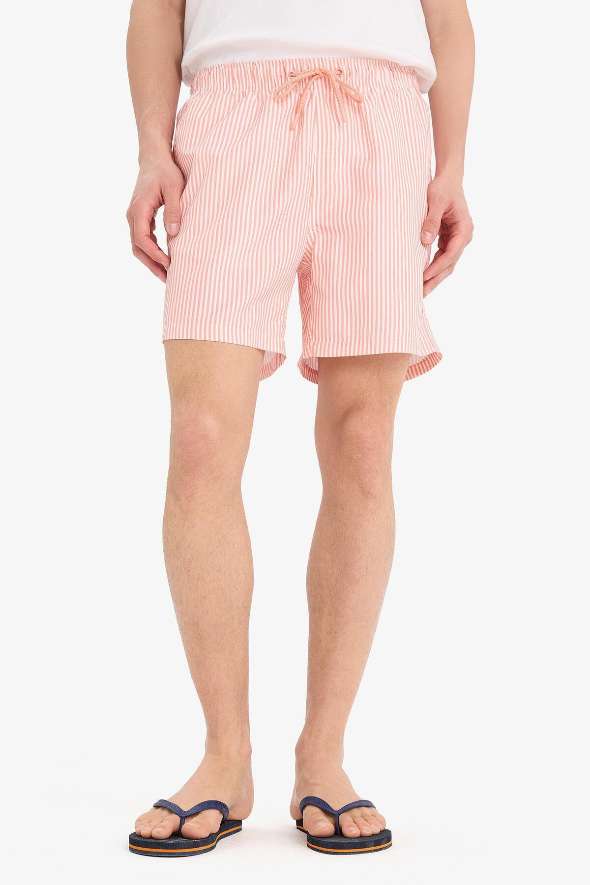 DeFacto-Striped Mesh Lined Short Length Sea Shorts U0024Az25Hs 4