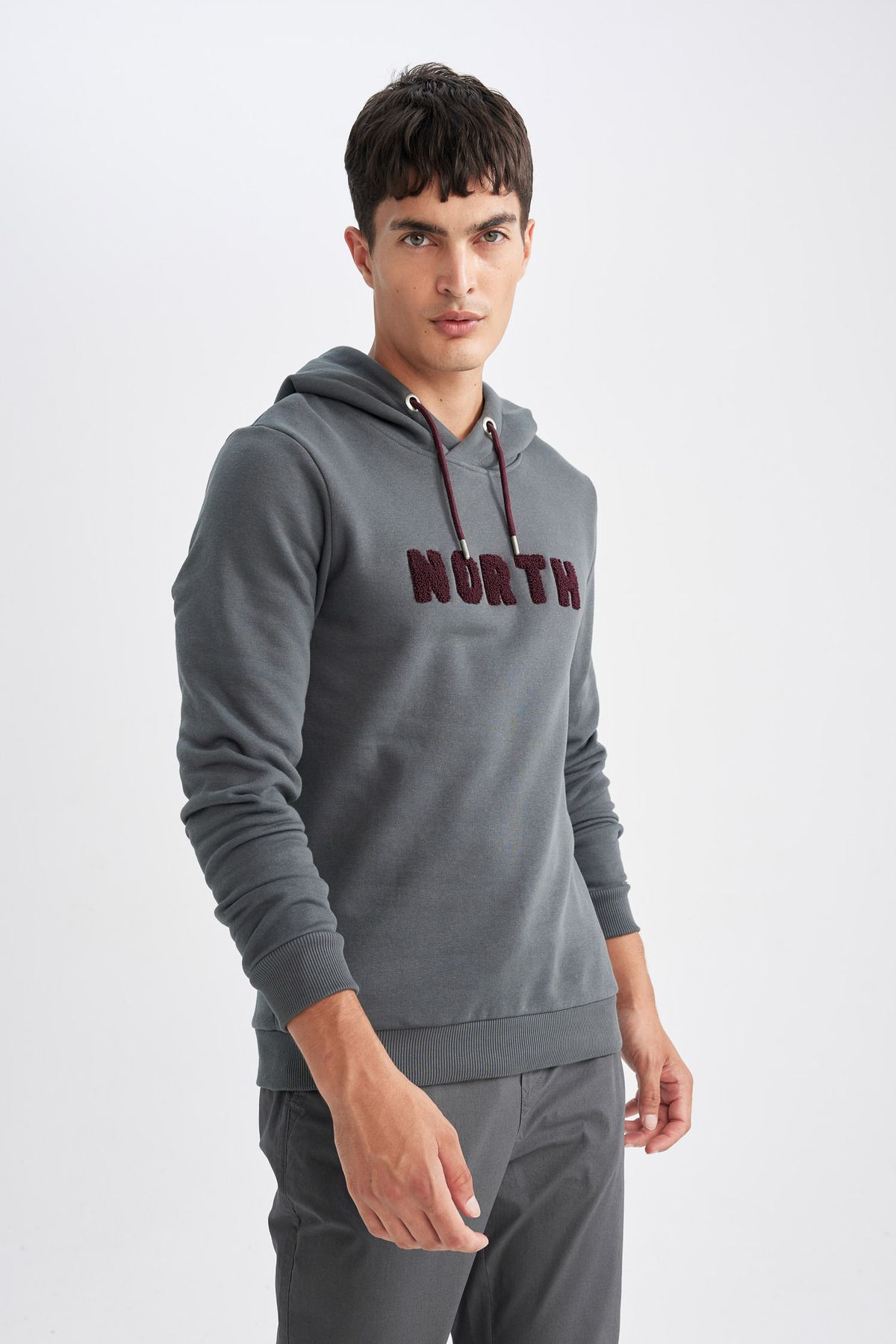 DeFacto-Regular Fit Hooded Sweatshirt with Soft Fuzz Inside 4