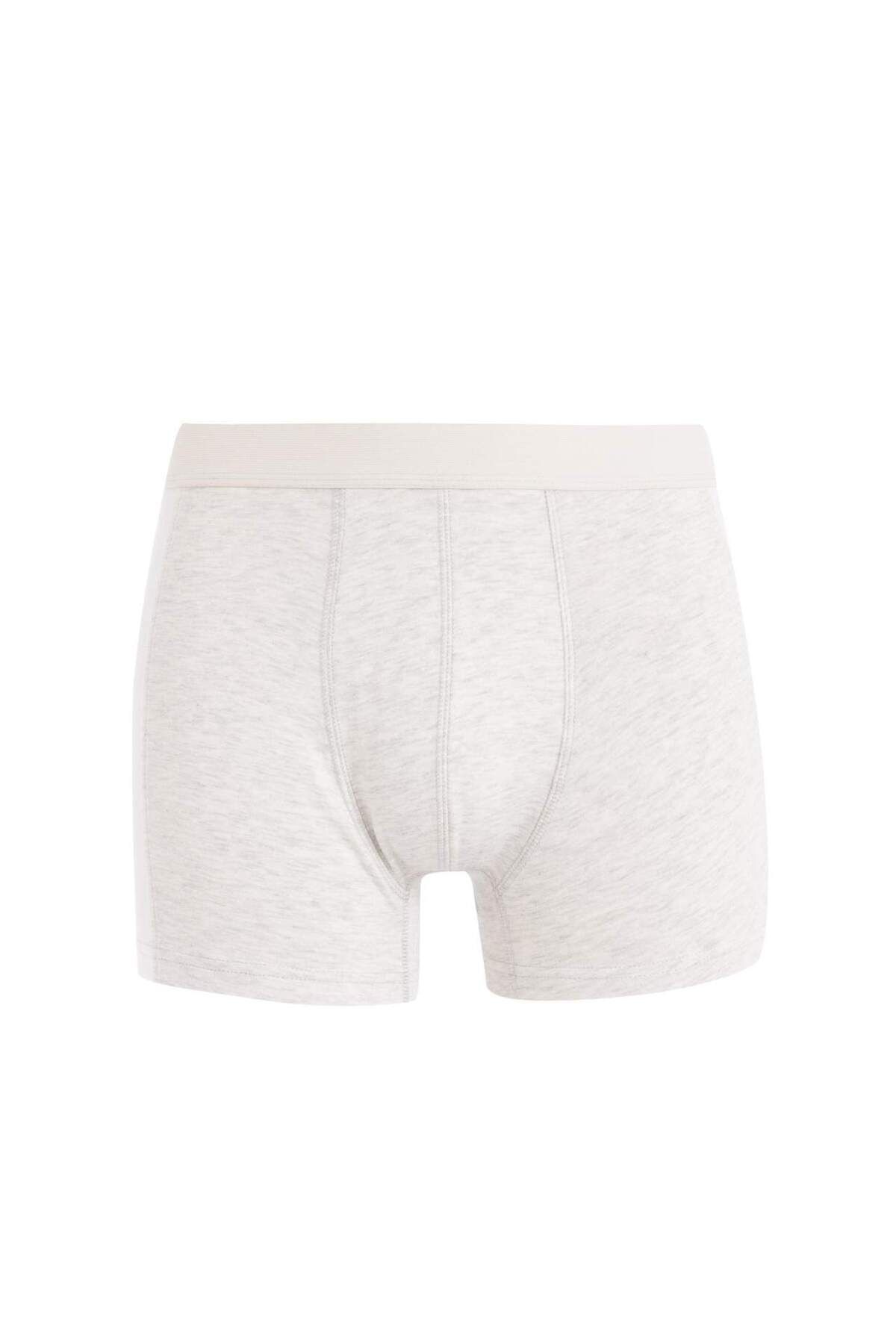 DeFacto-Regular Fit 3 Boxer C9559ax24wn 5