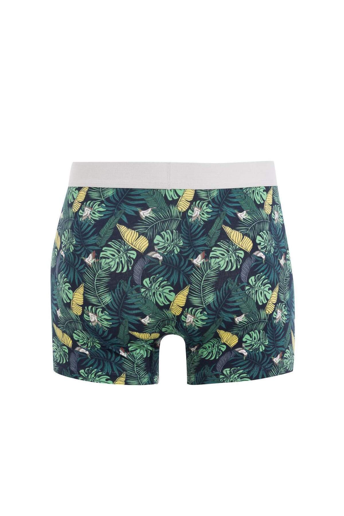 DeFacto-C9568Ax24Au Model 3-Piece Boxer Set - Printed 3