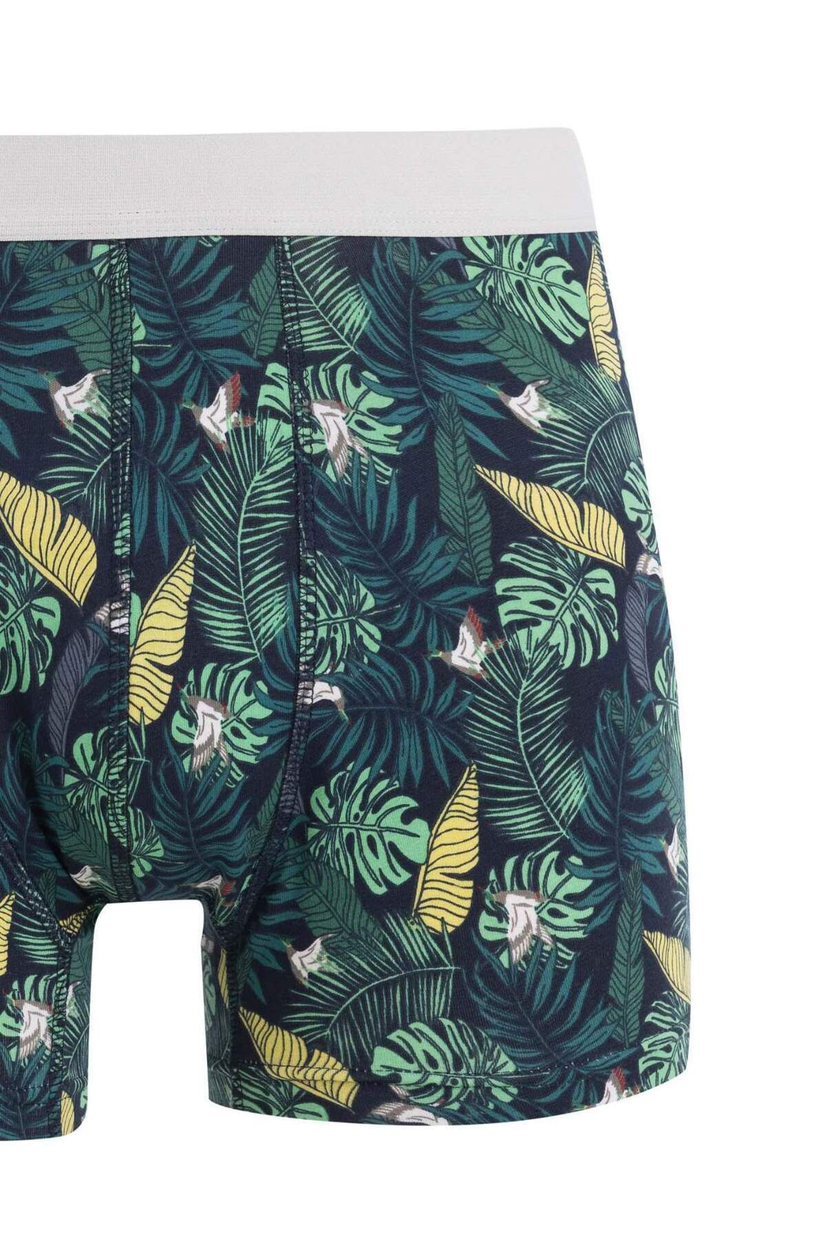 DeFacto-C9568Ax24Au Model 3-Piece Boxer Set - Printed 4
