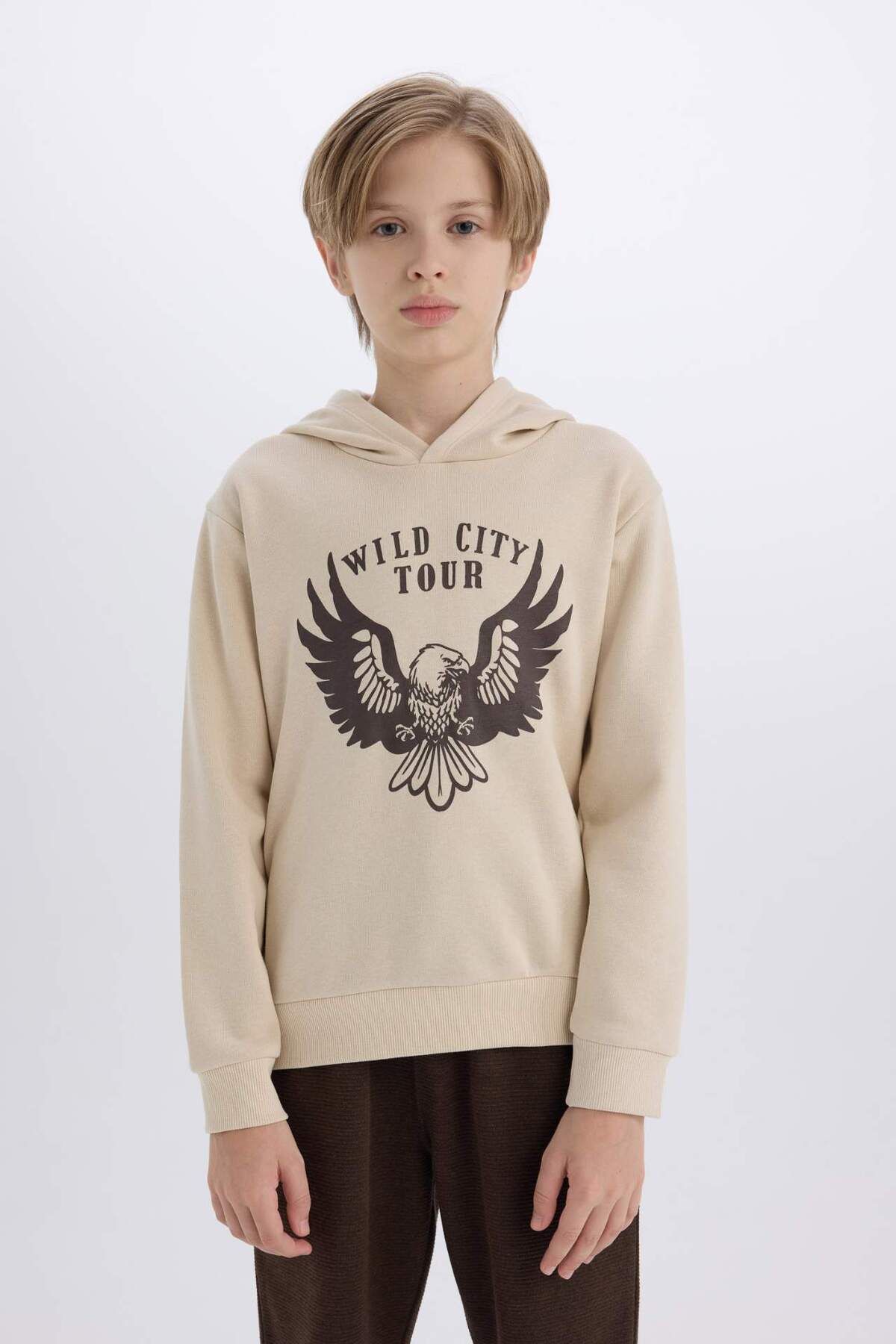 DeFacto-2-Piece Set for Boy - Hooded, Printed Thick Sweatshirt and Elastic Sweatpants E1931A824Cw 4