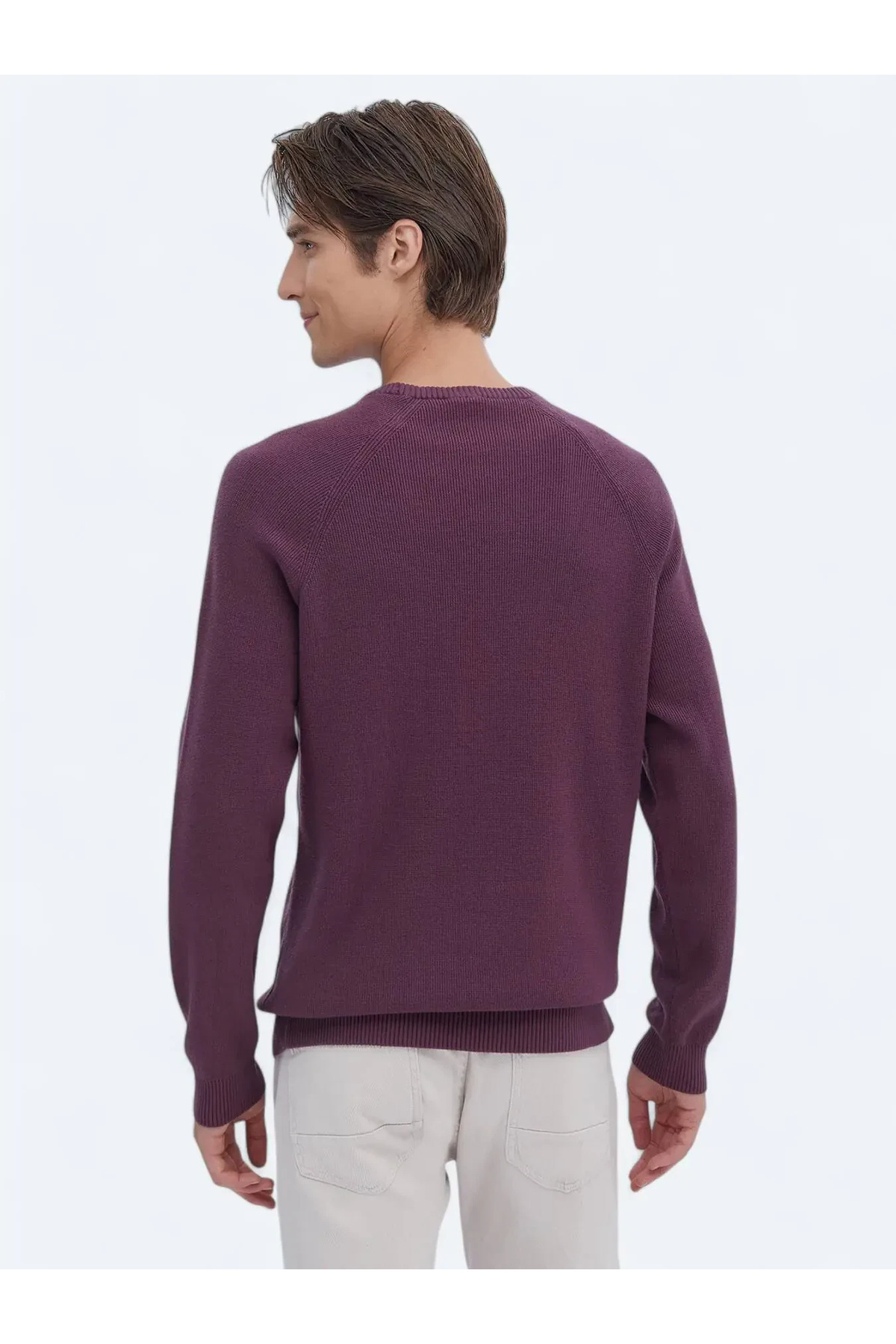Kip-Pulover din tricot cu model de prune 6