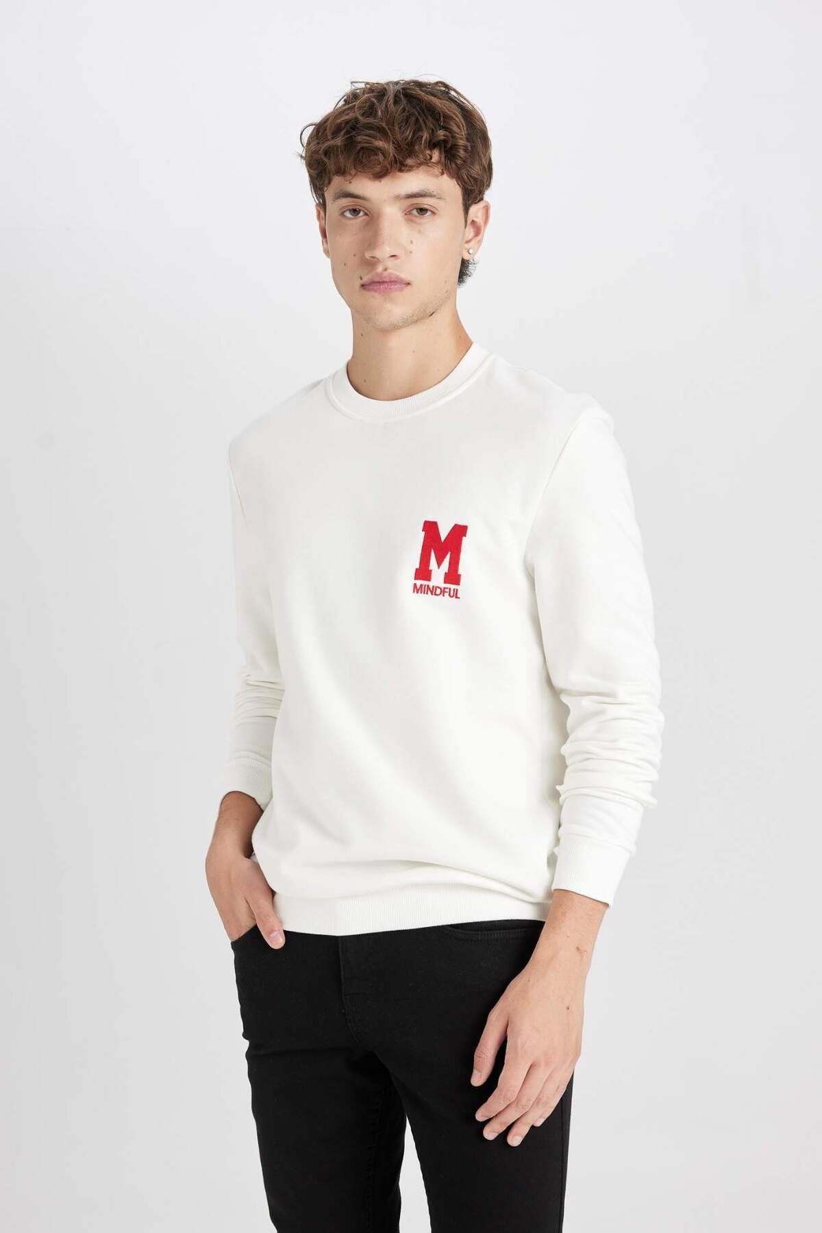 DeFacto-Nová tlustá mikina Regular Fit Crew Neck s potiskem D3670Ax24Au 3