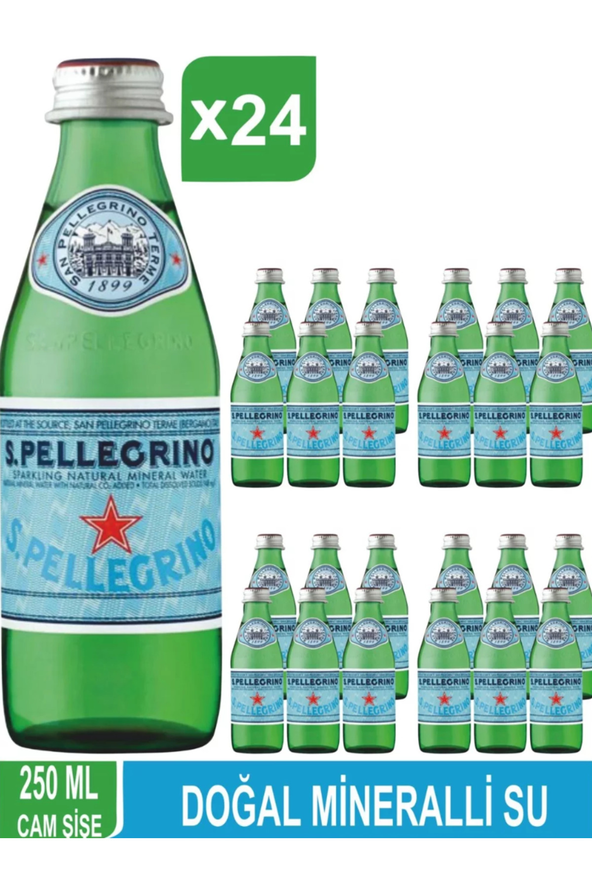 San Pellegrino San Pallegrino Doğal Mineralli Su 250 ml X 24 Adet Koli