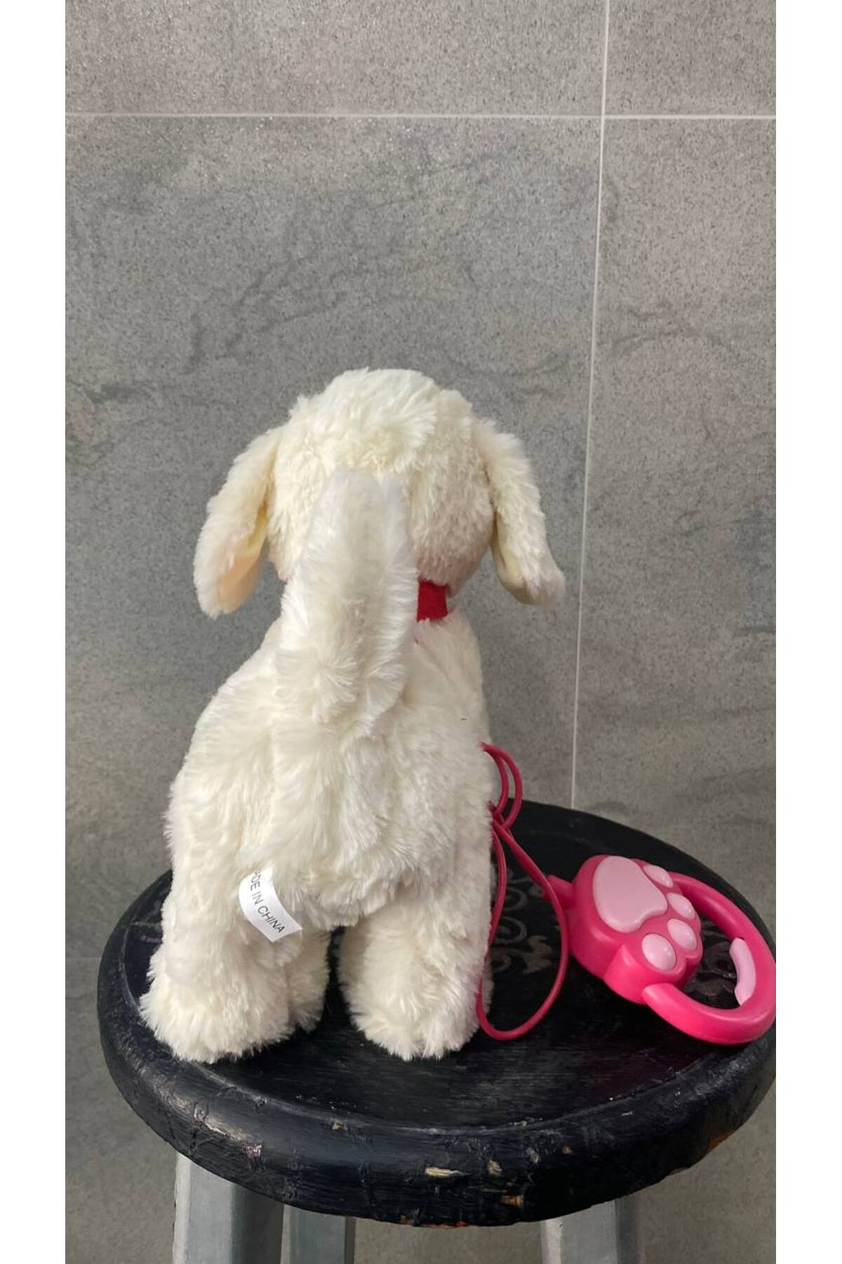 Magicway Müzikli Yürüyen Havlayan Yalayan Kuyruk Ve Başını Sallayan Ses Kaydı Yapan Pilli Peluş Köpek fotoğrafı 3 (önizleme)