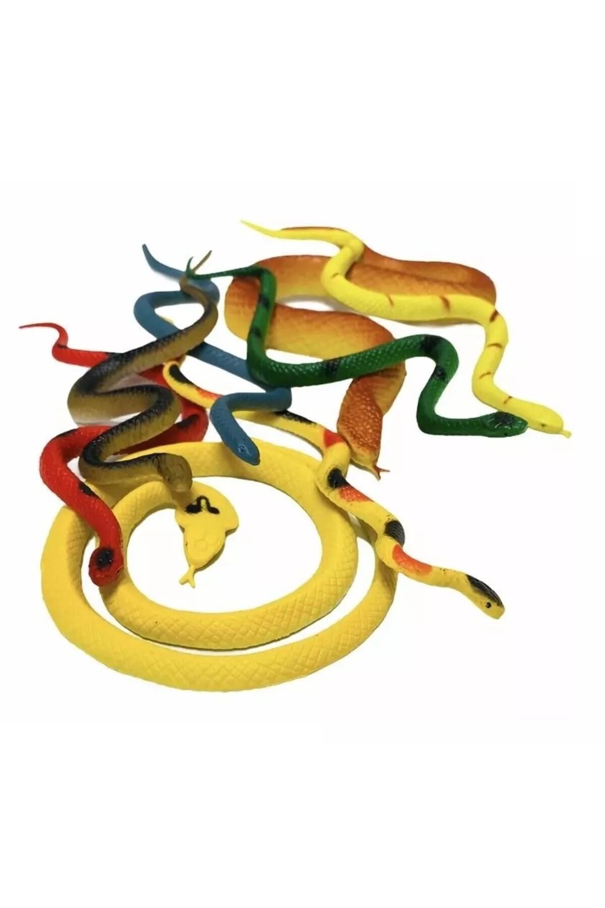 حشرات و مارهای نسسی‌ورلد در کیسه‌ها