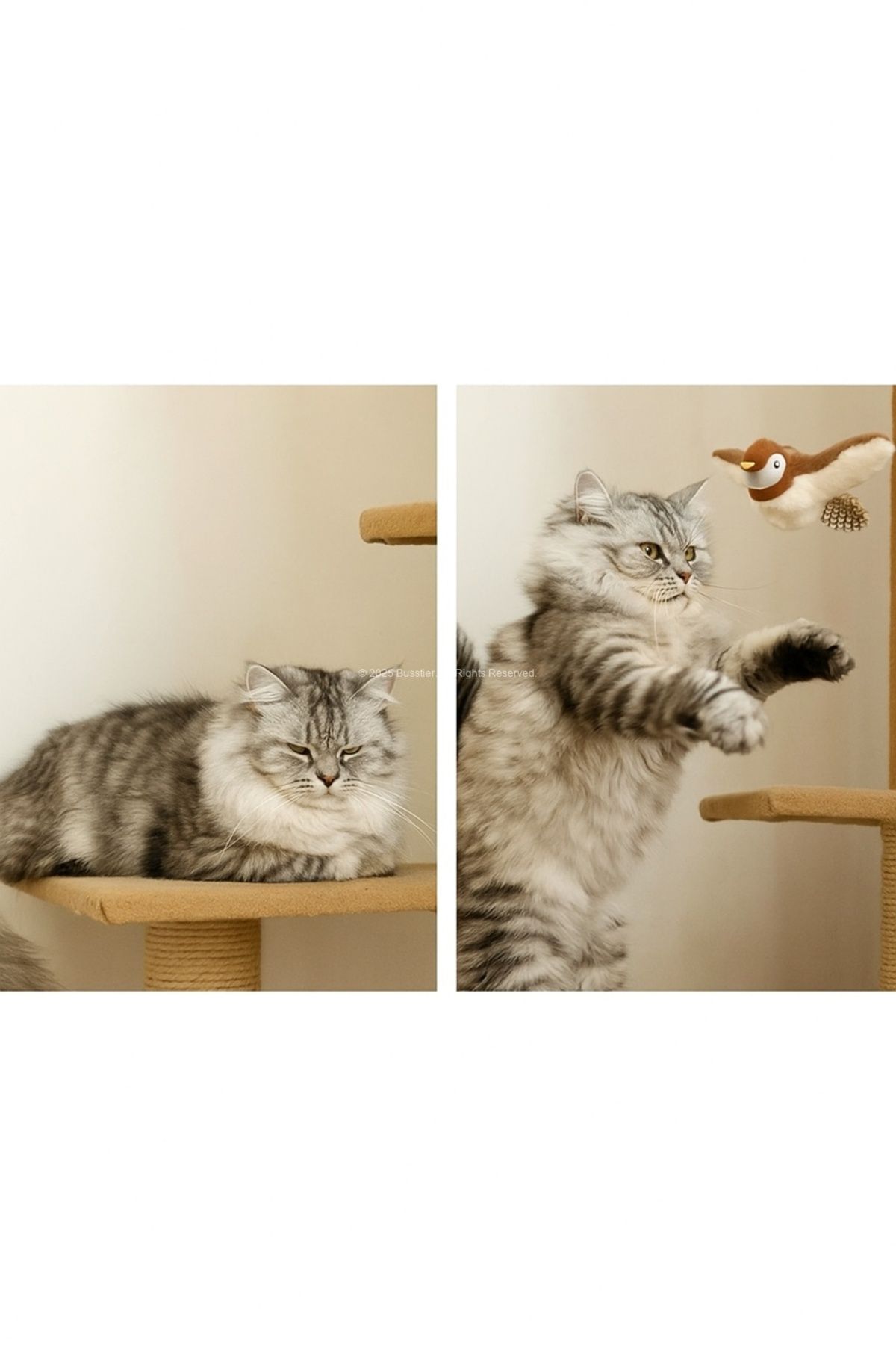Busstier-Touch Sound Flapping Wings Hangable Plush Bird Cat Toy Movable Interactive 7