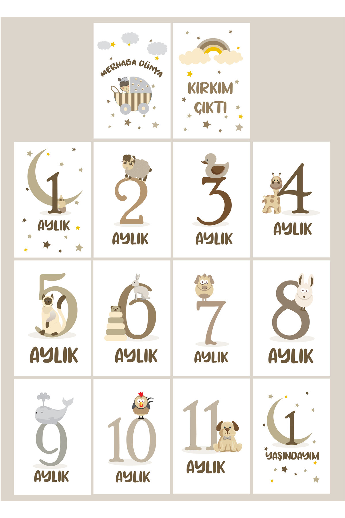 The Bill Store Yeni Doğan Bebek Ay Kartları | 1-12 Ay Doğum & Kırkı Çıktı | Fotoğraf Çekim Unisex Anı Kartları Seti fotoğrafı 2 (önizleme)