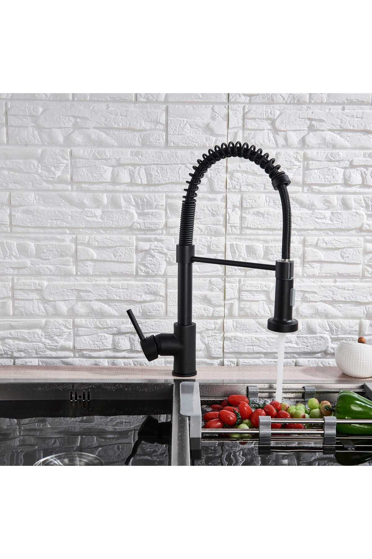 CasaVie-Professional kitchen faucet, with flexible shower, 2 flow functions, matte black, code 1335 3