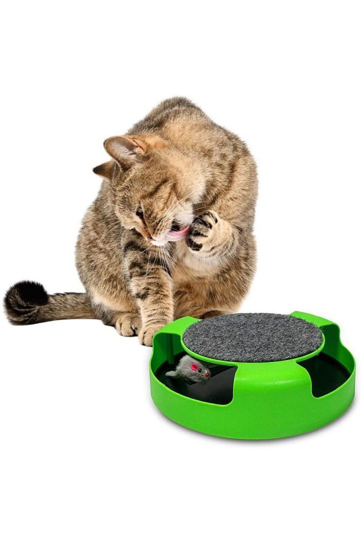 PROCART-Interactive cat toy, carousel with plush mouse, stand with mat 5