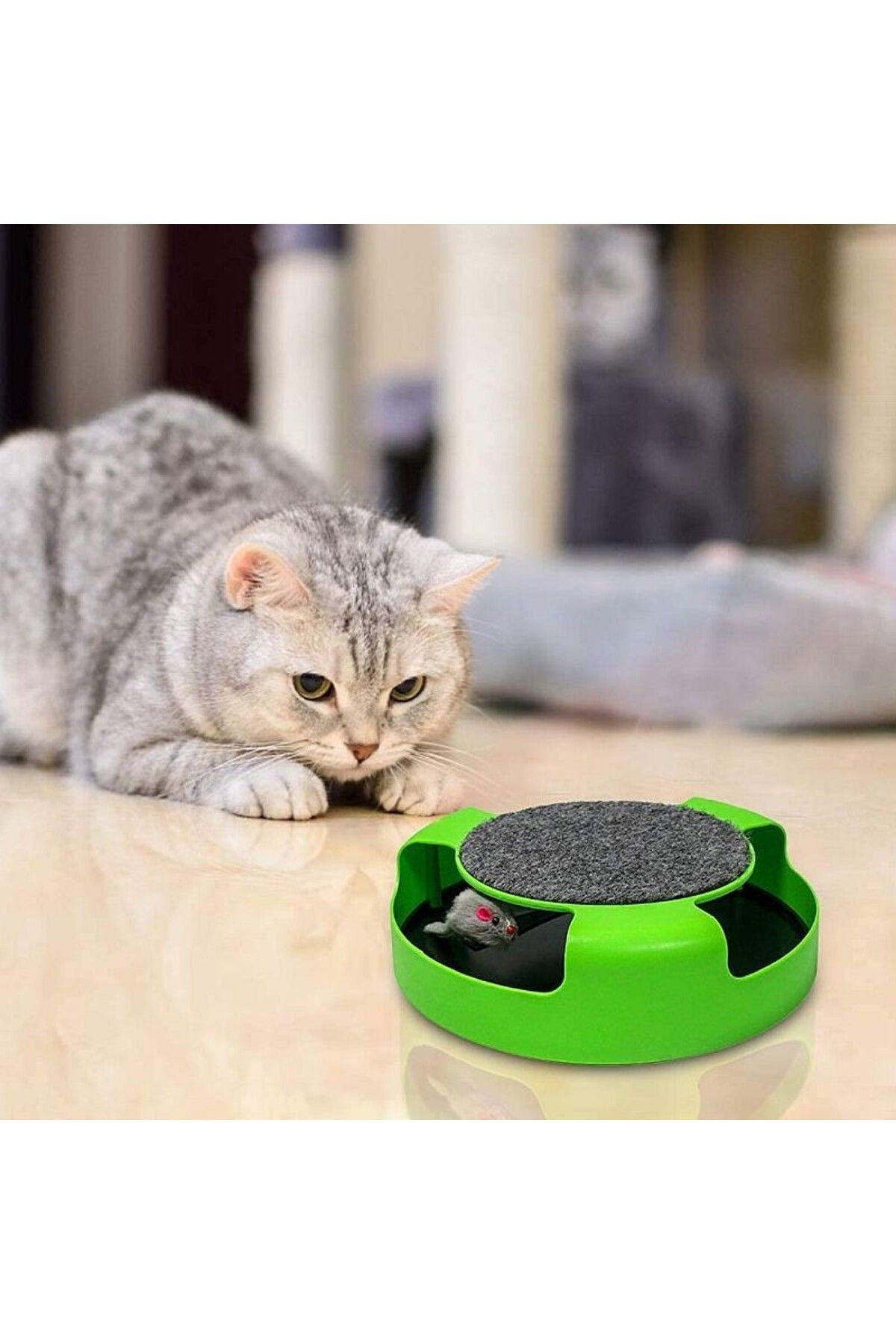 PROCART-Interactive cat toy, carousel with plush mouse, stand with mat 4